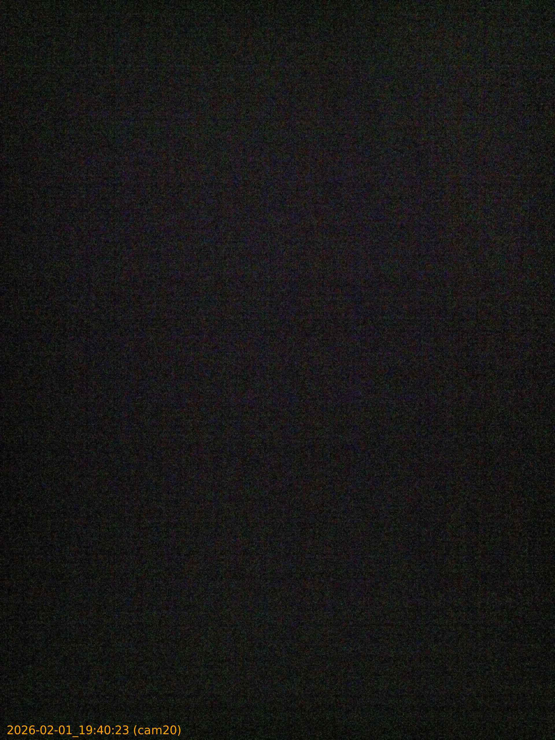 thumbnail_20260201194023