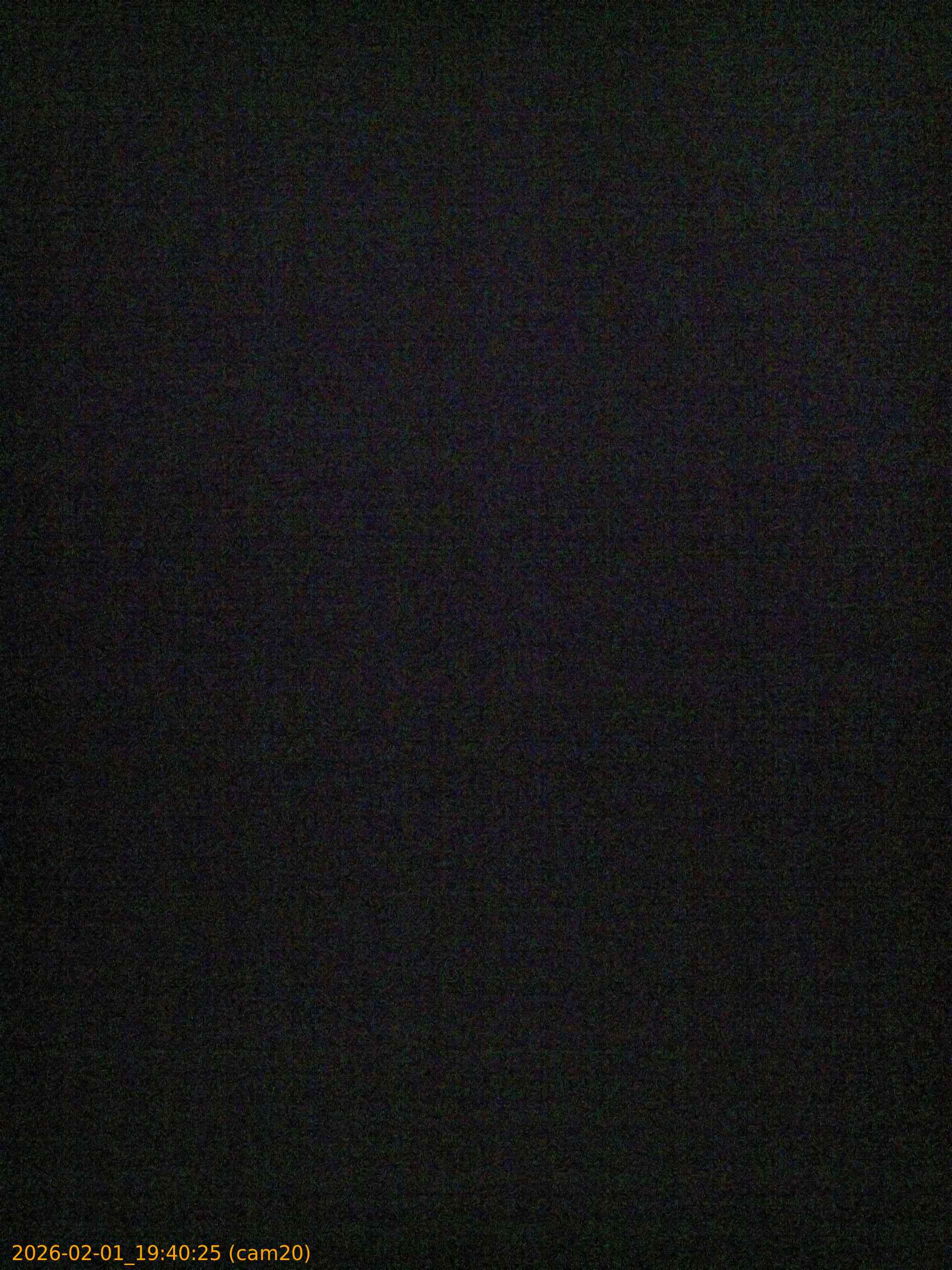 thumbnail_20260201194025