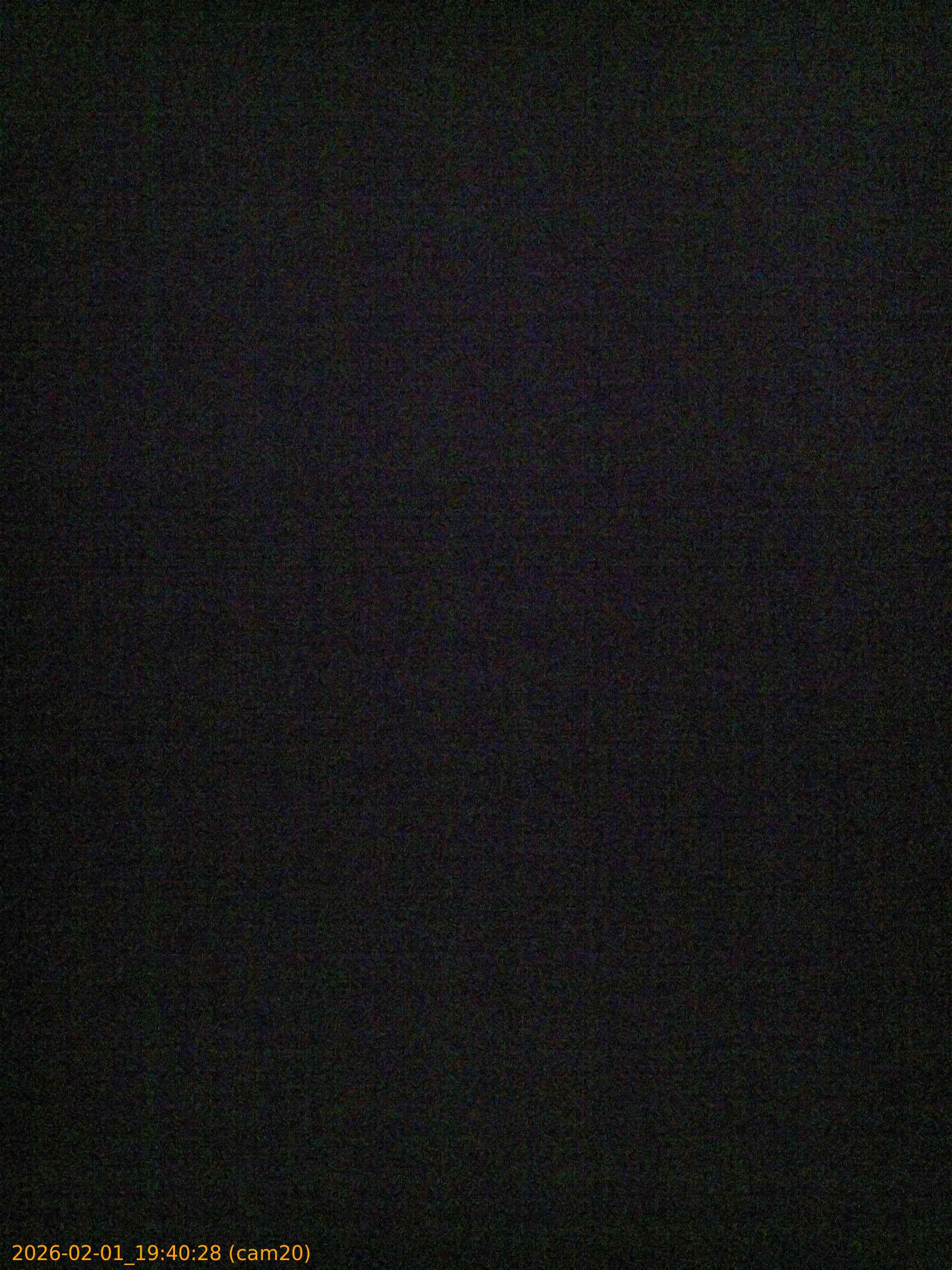 thumbnail_20260201194028