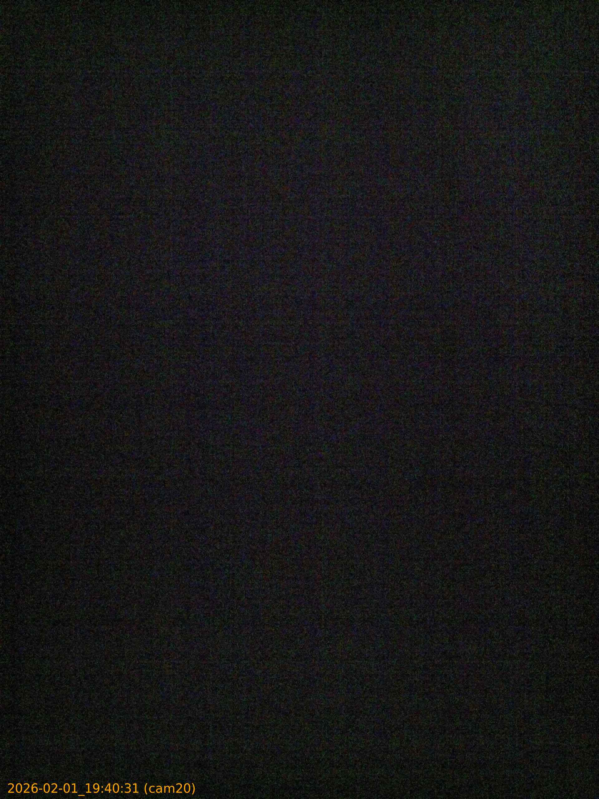 thumbnail_20260201194031