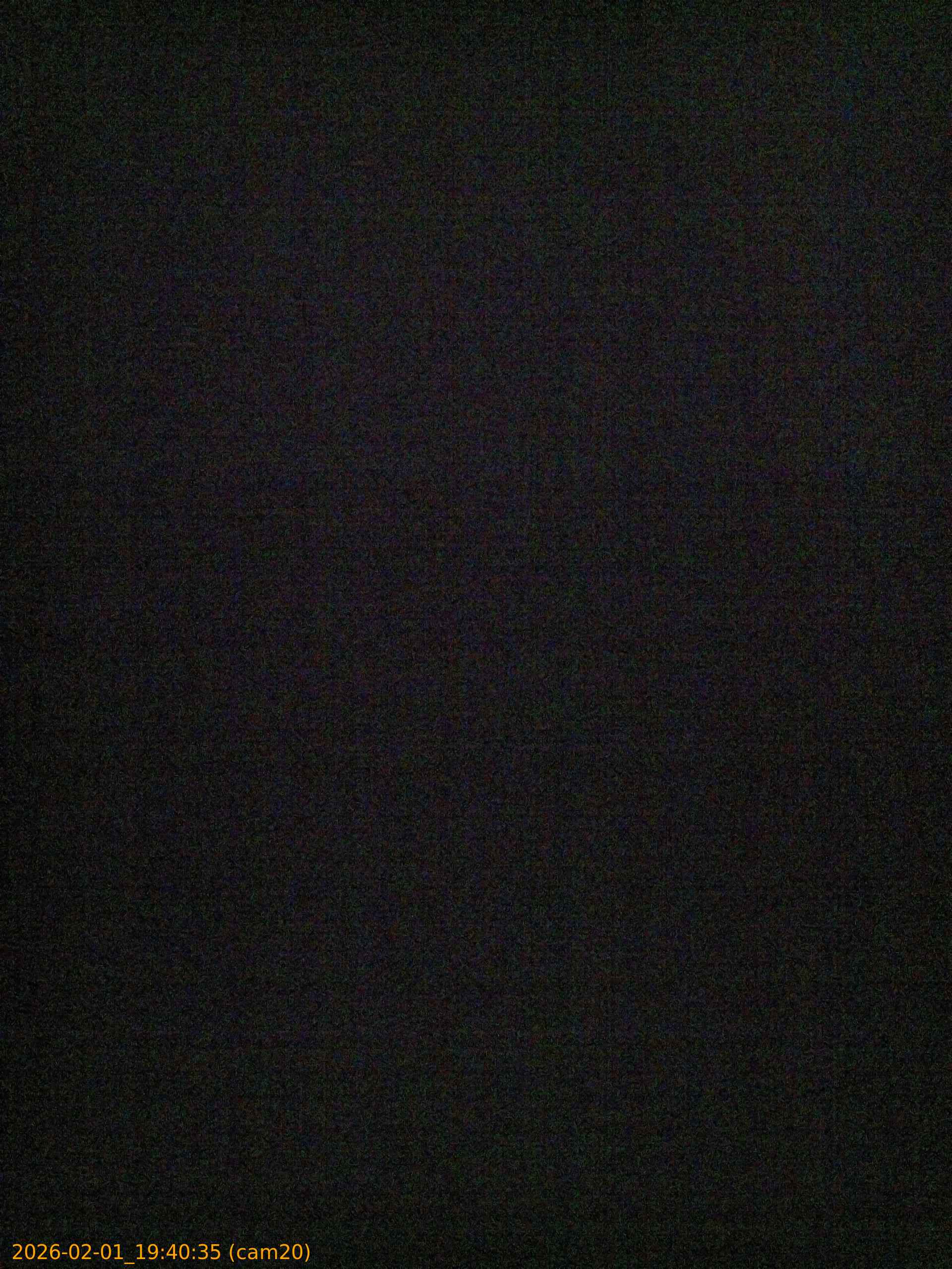 thumbnail_20260201194034