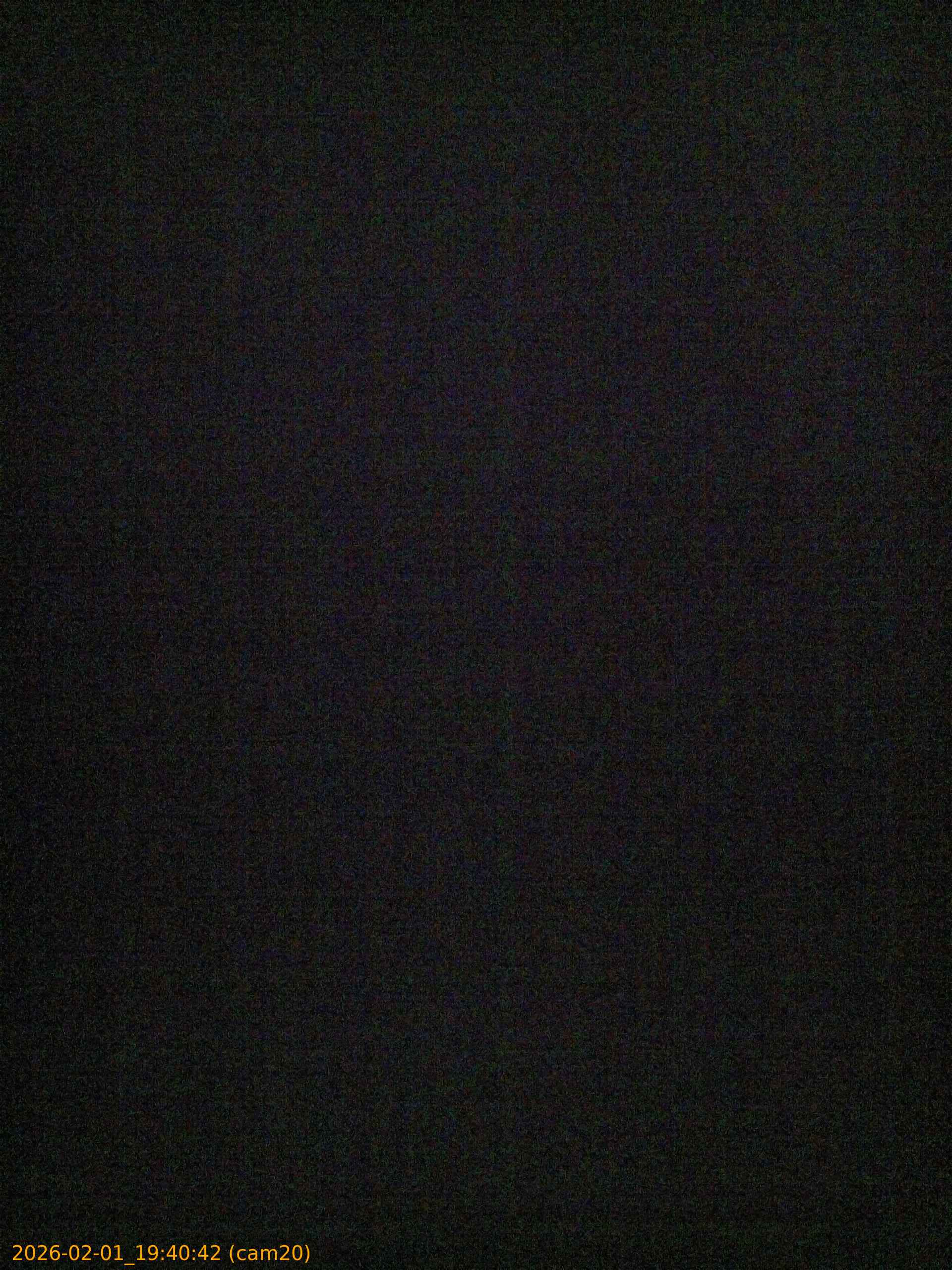 thumbnail_20260201194042