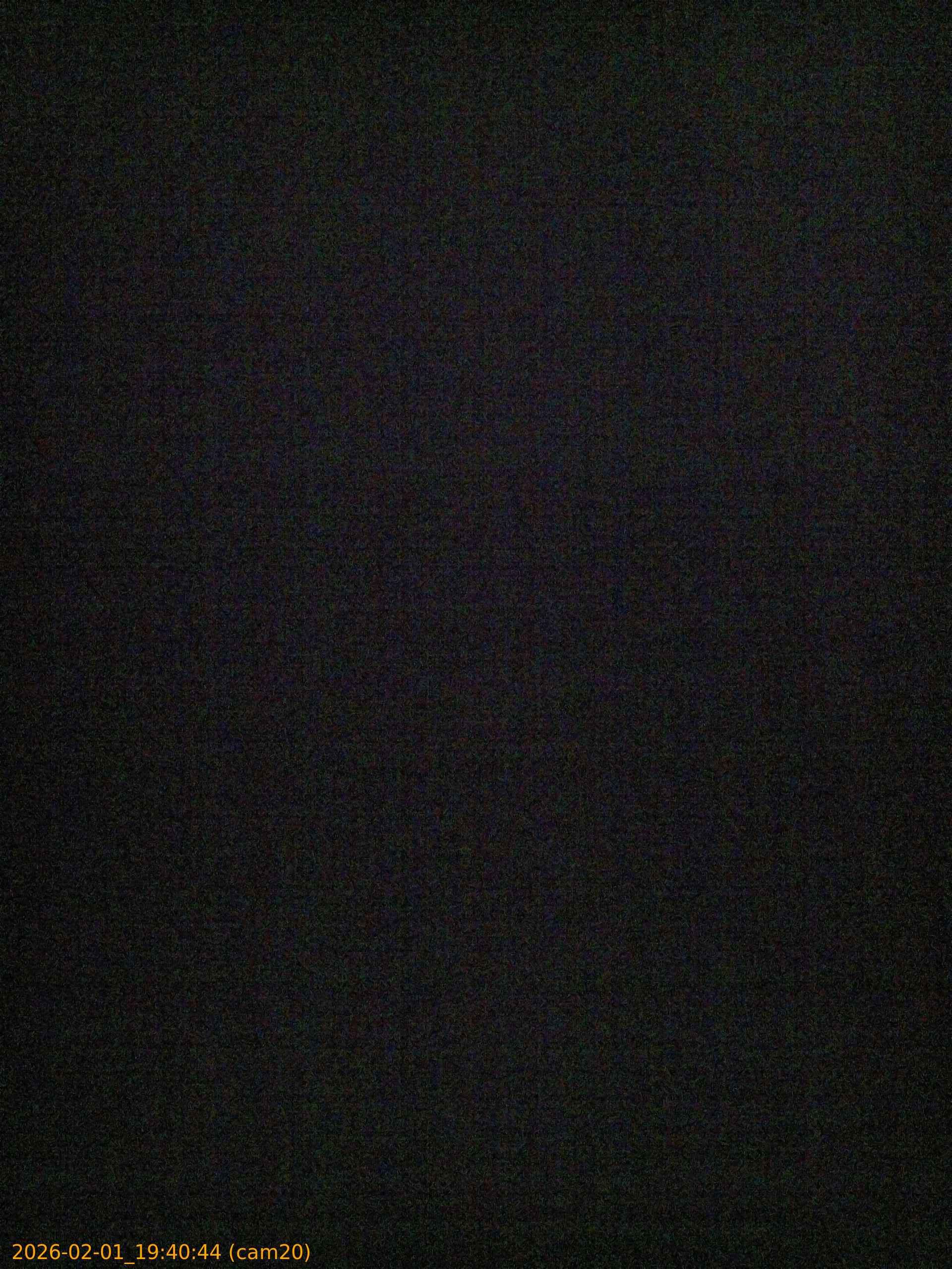 thumbnail_20260201194044