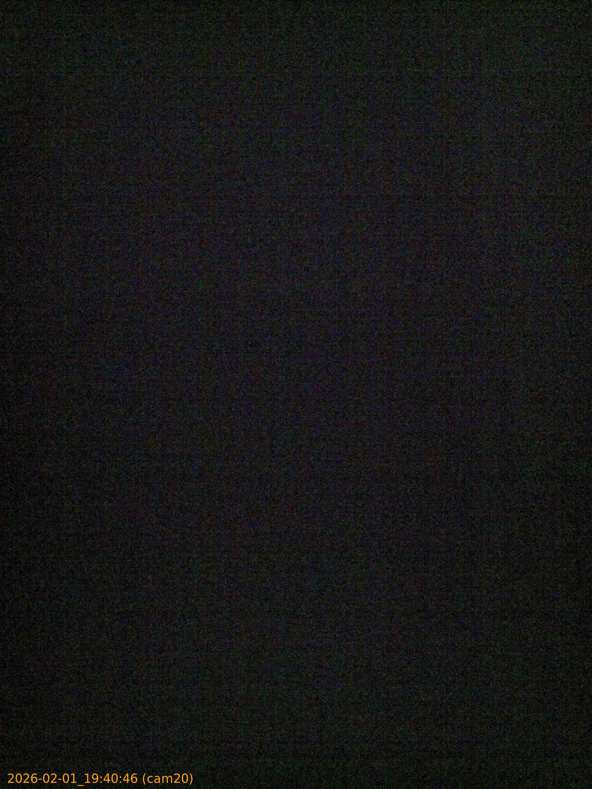 thumbnail_20260201194046