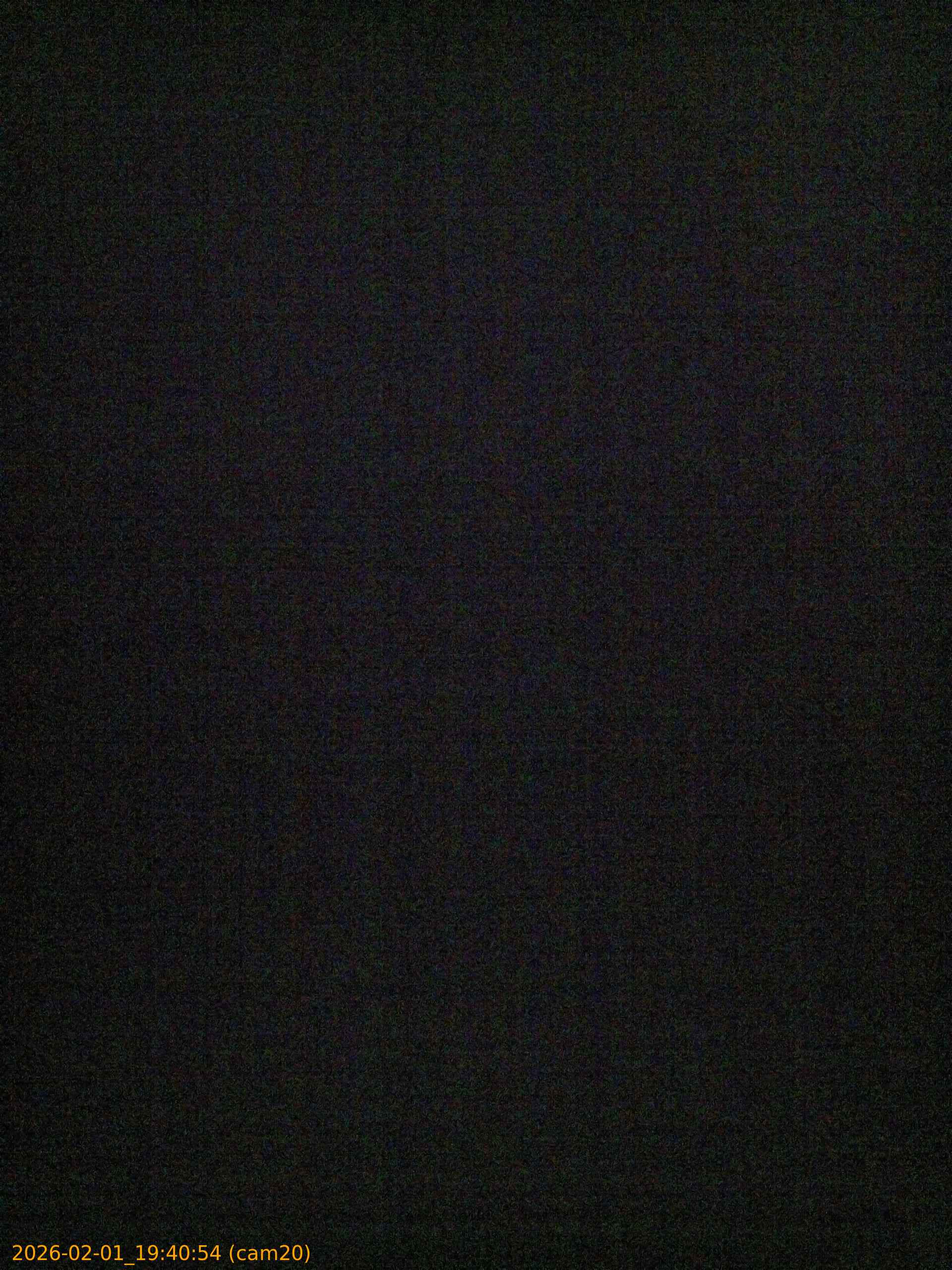 thumbnail_20260201194054