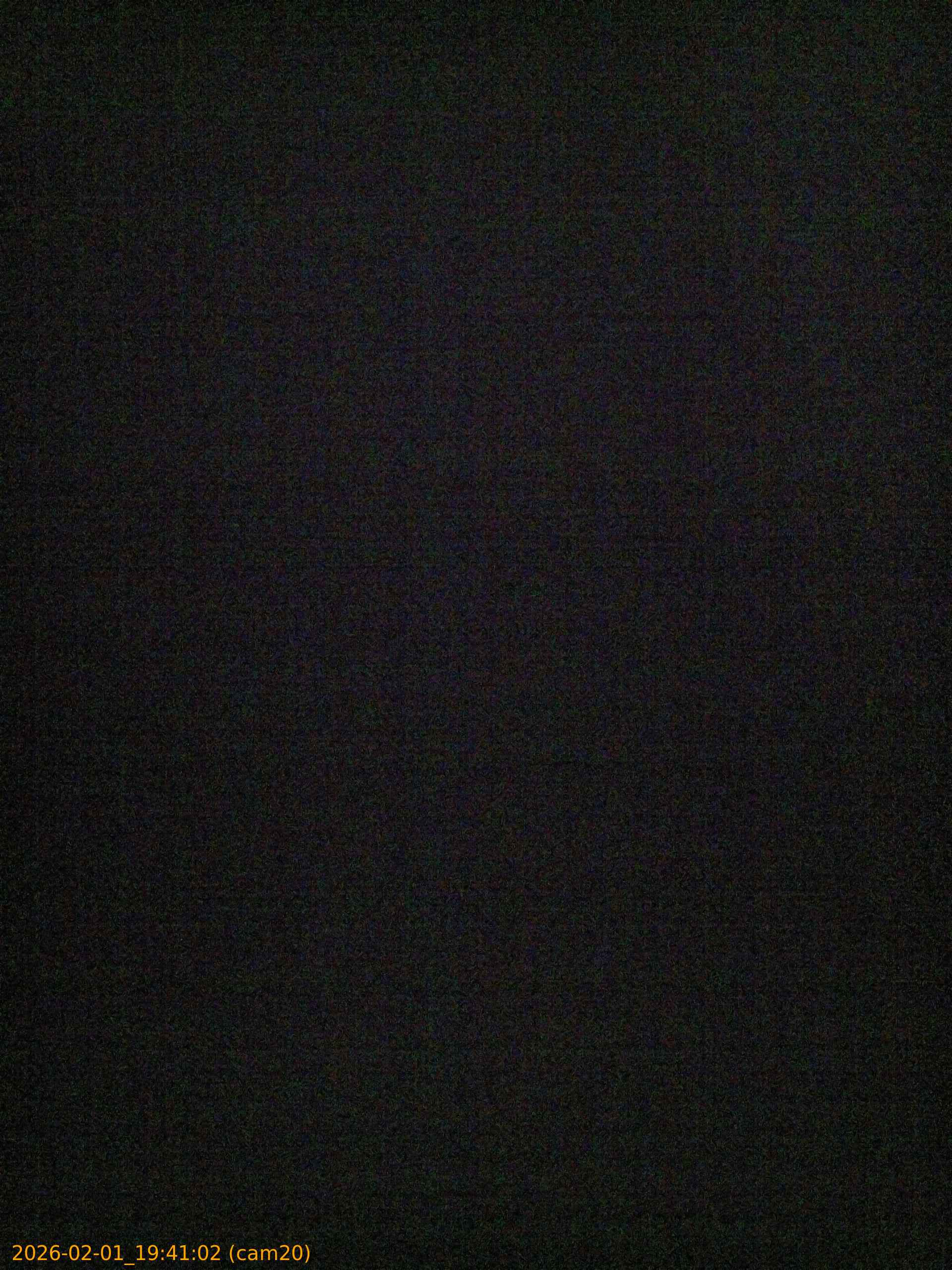 thumbnail_20260201194102