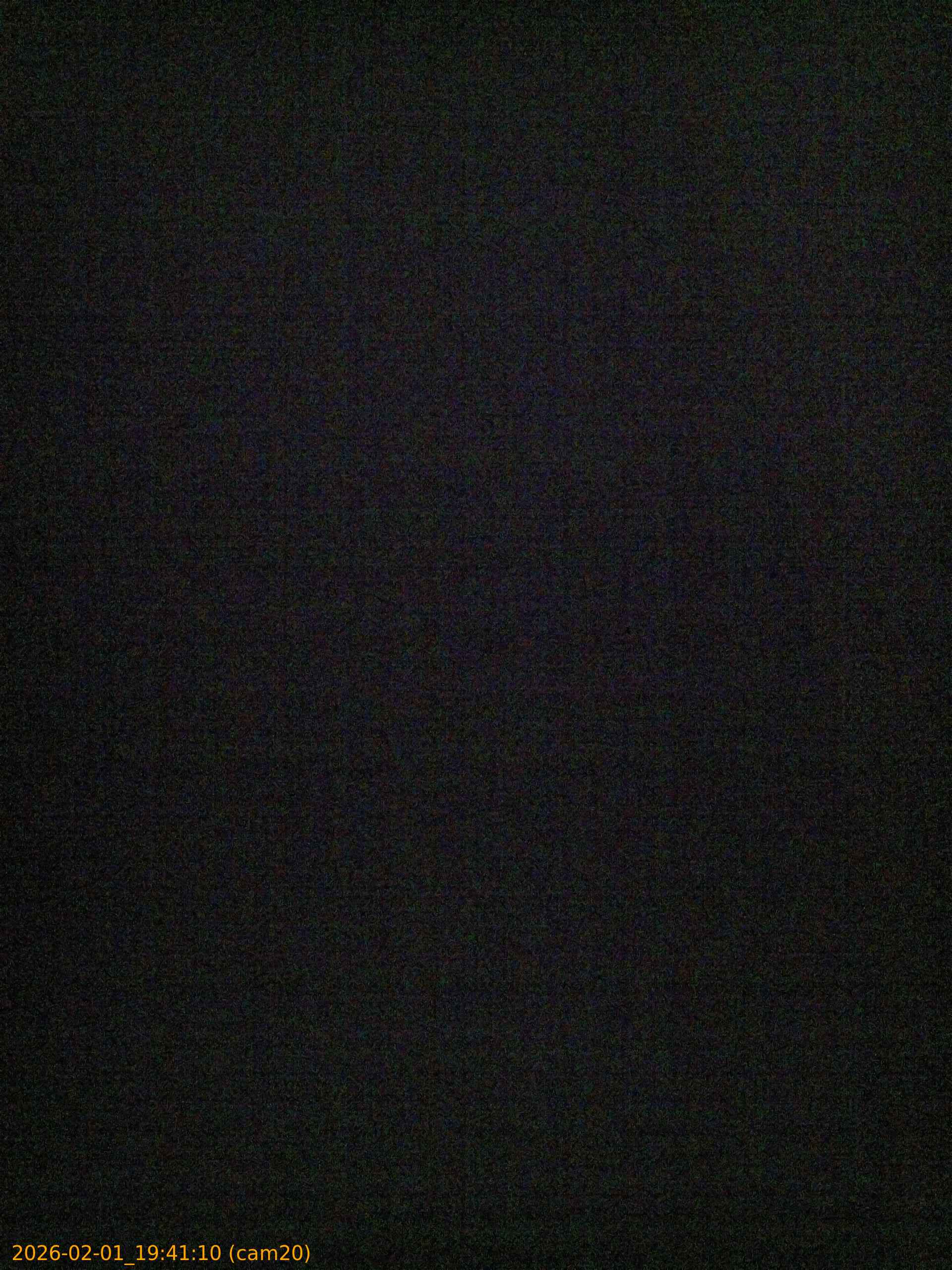 thumbnail_20260201194110