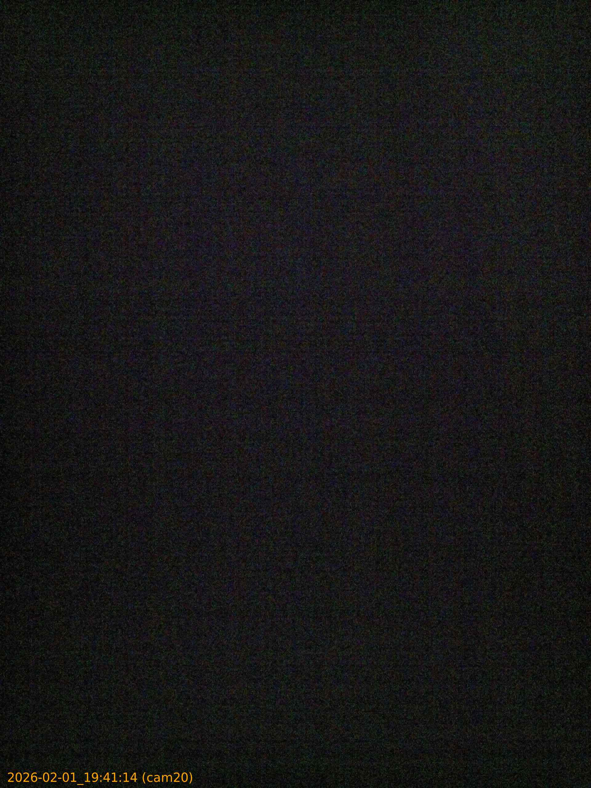 thumbnail_20260201194114