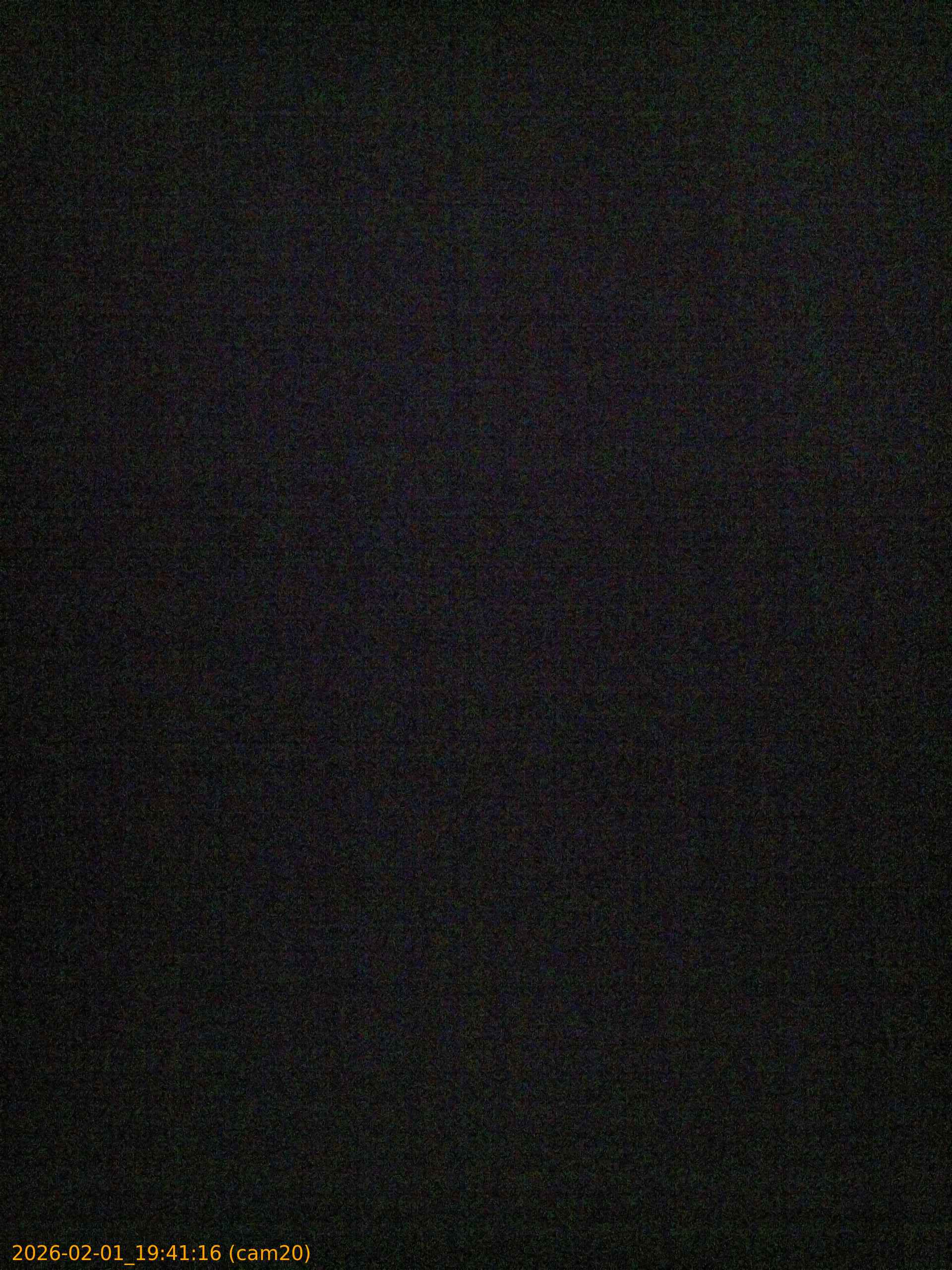 thumbnail_20260201194116