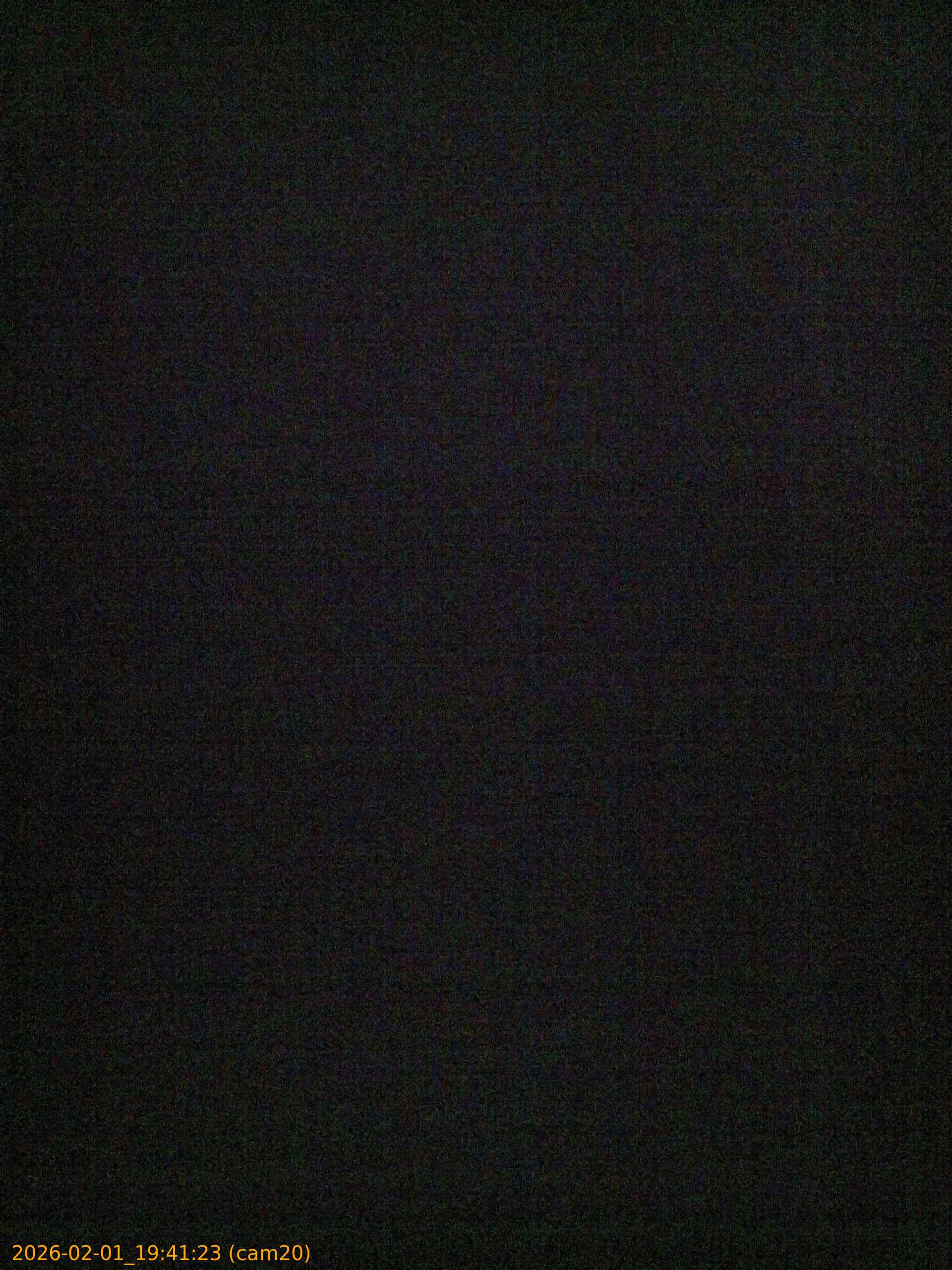 thumbnail_20260201194122