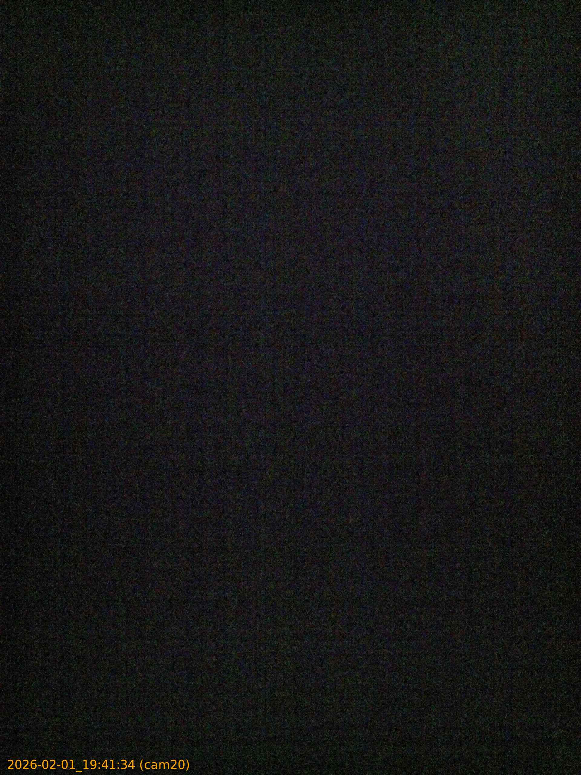 thumbnail_20260201194134