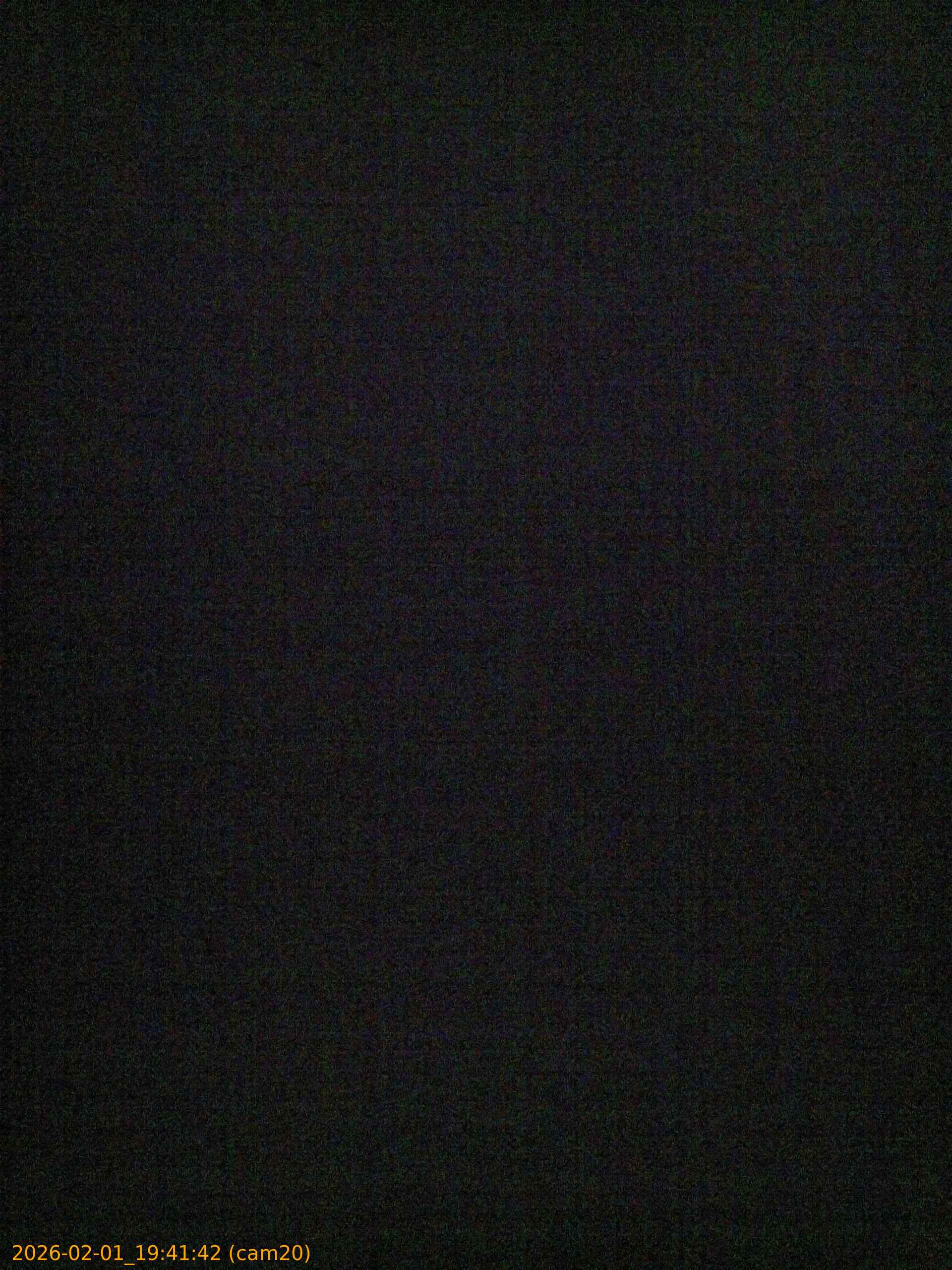 thumbnail_20260201194142