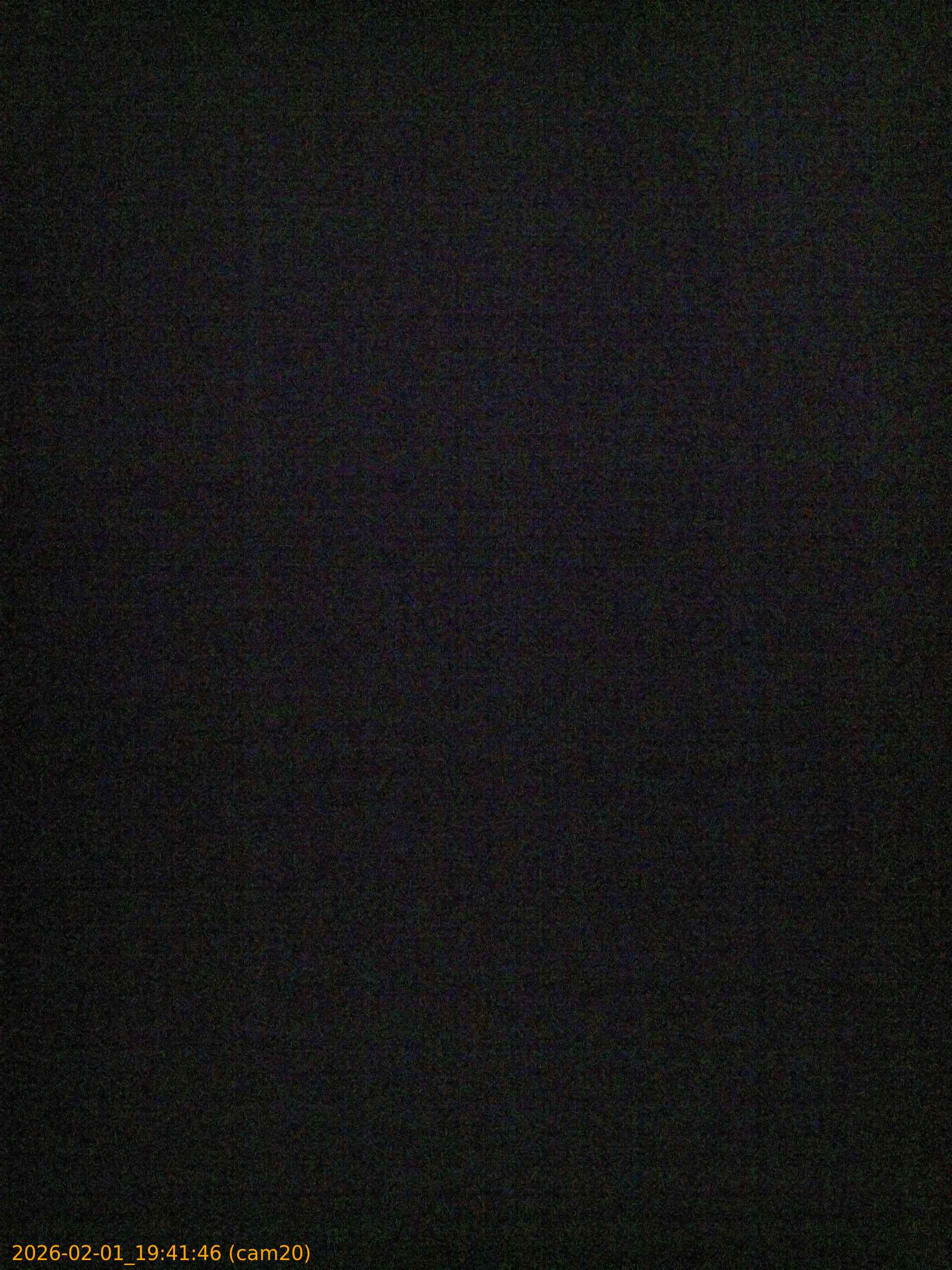 thumbnail_20260201194146