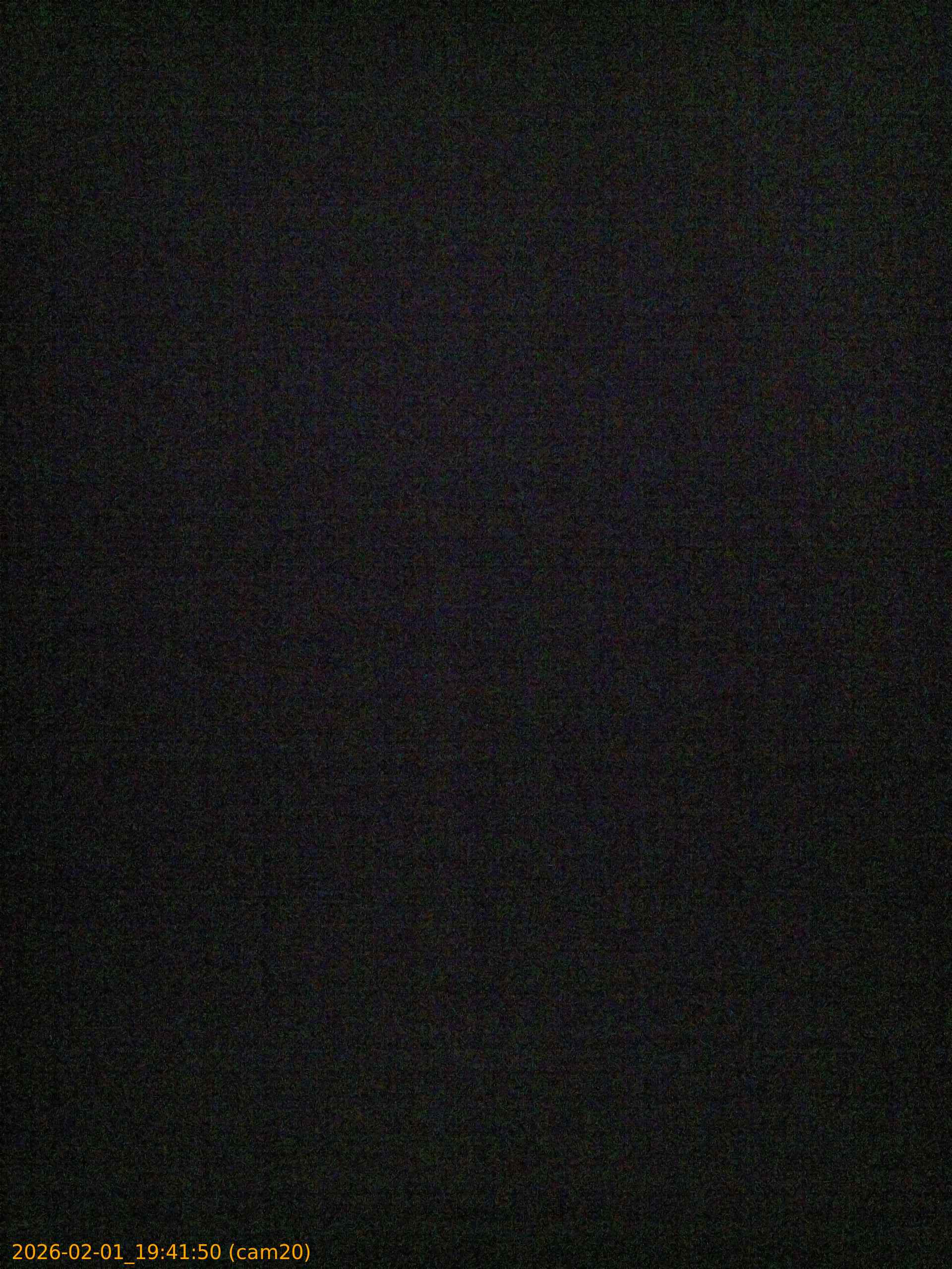 thumbnail_20260201194150