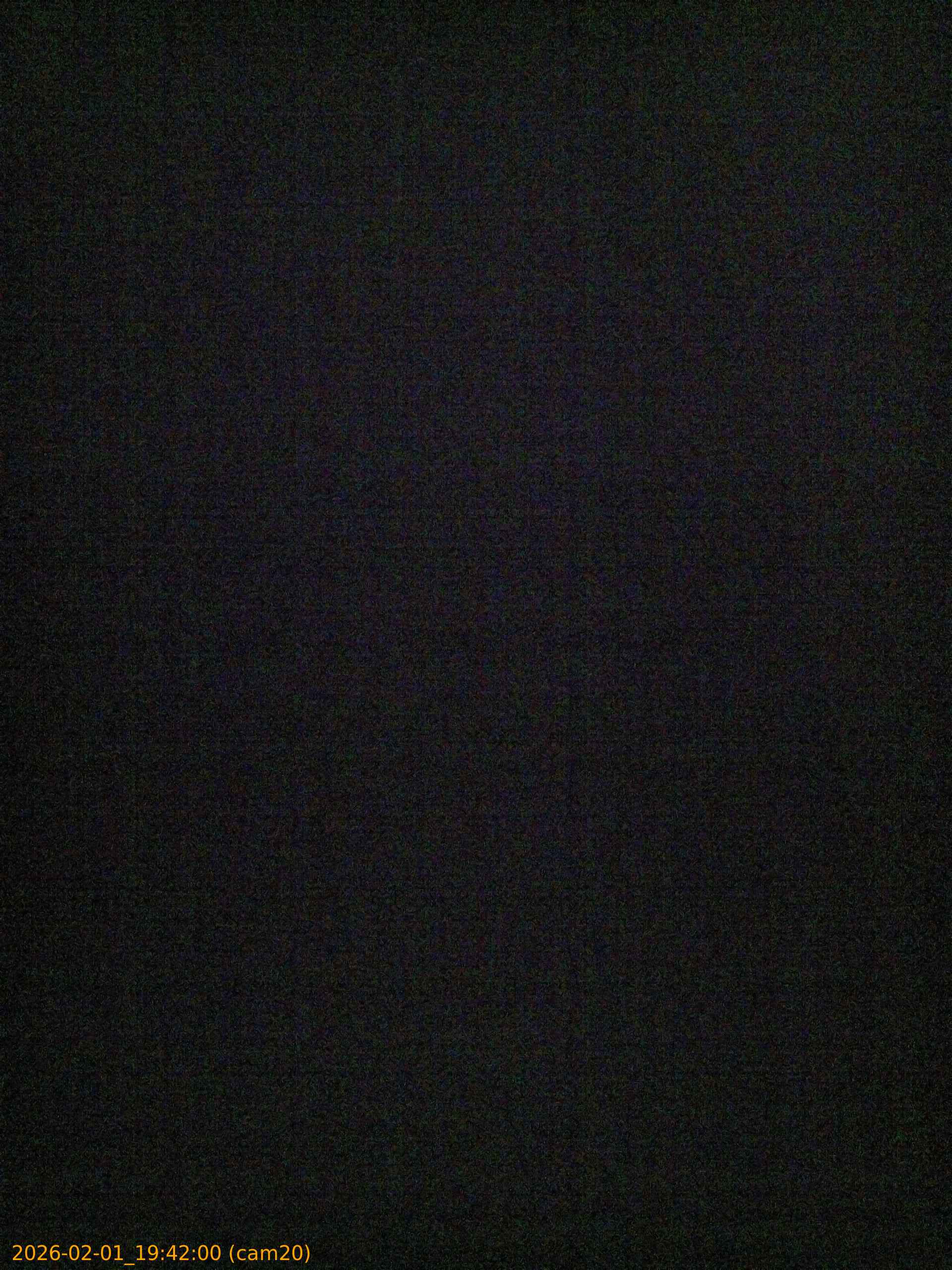 thumbnail_20260201194200