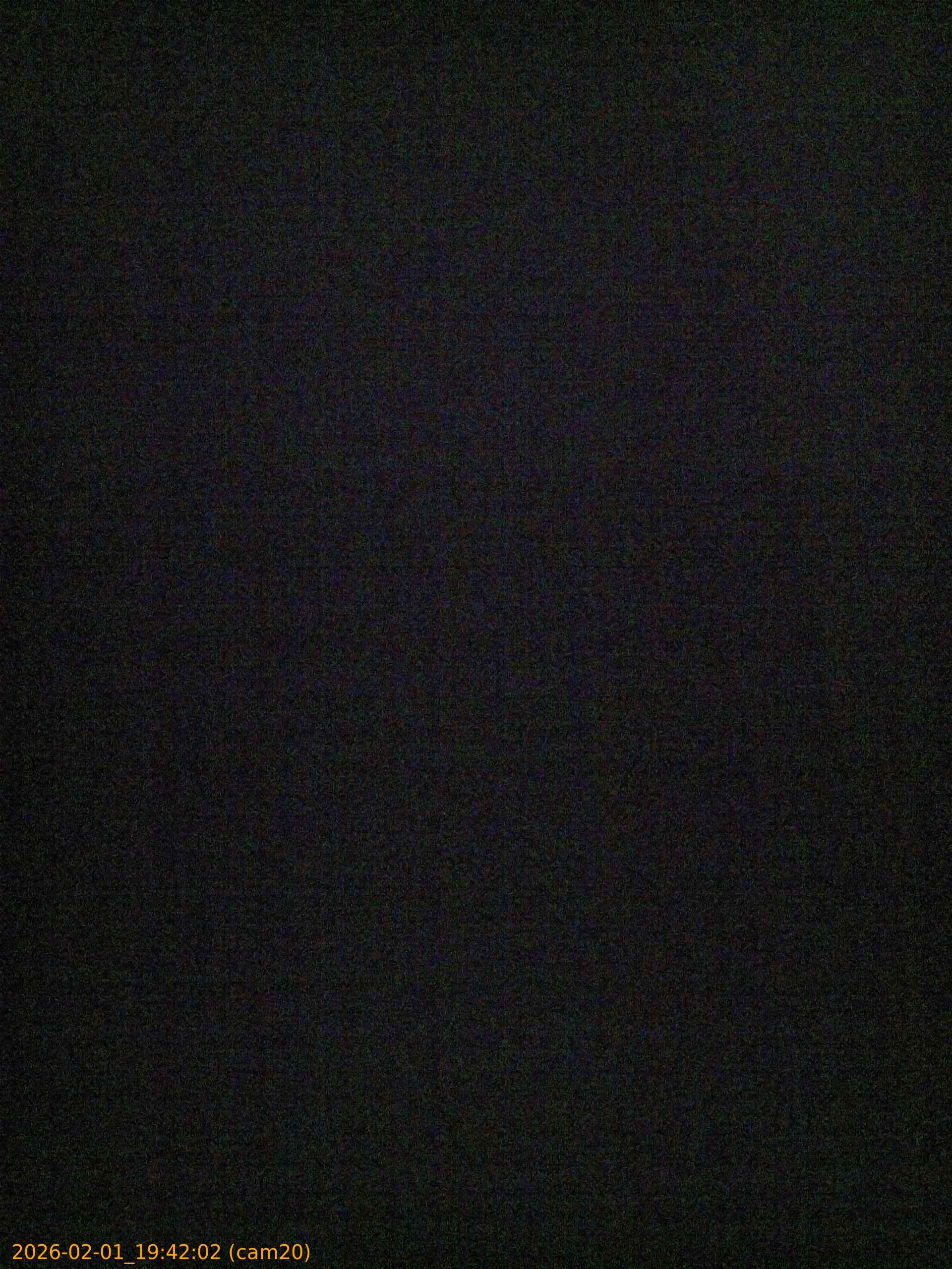 thumbnail_20260201194202