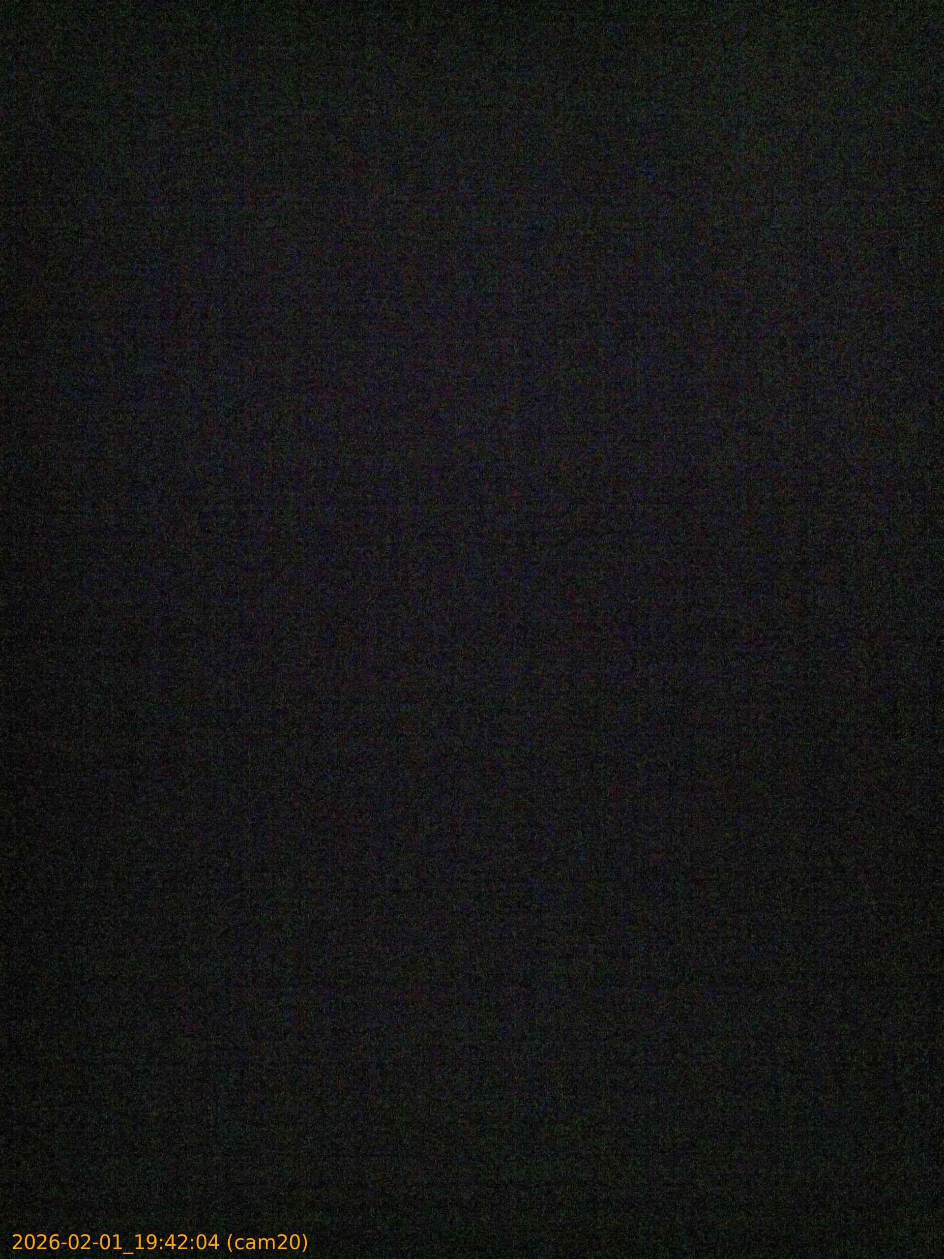 thumbnail_20260201194204