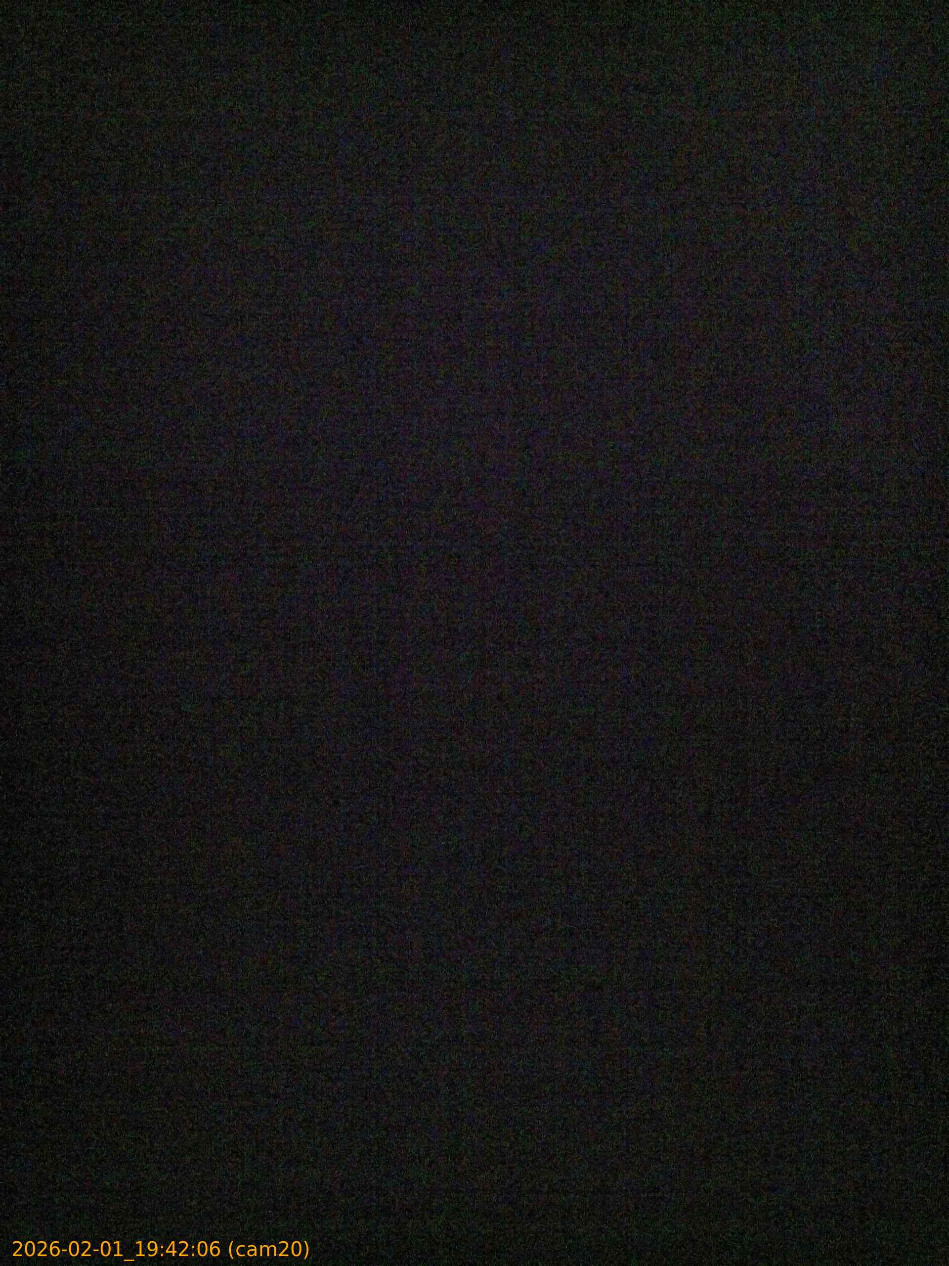 thumbnail_20260201194206