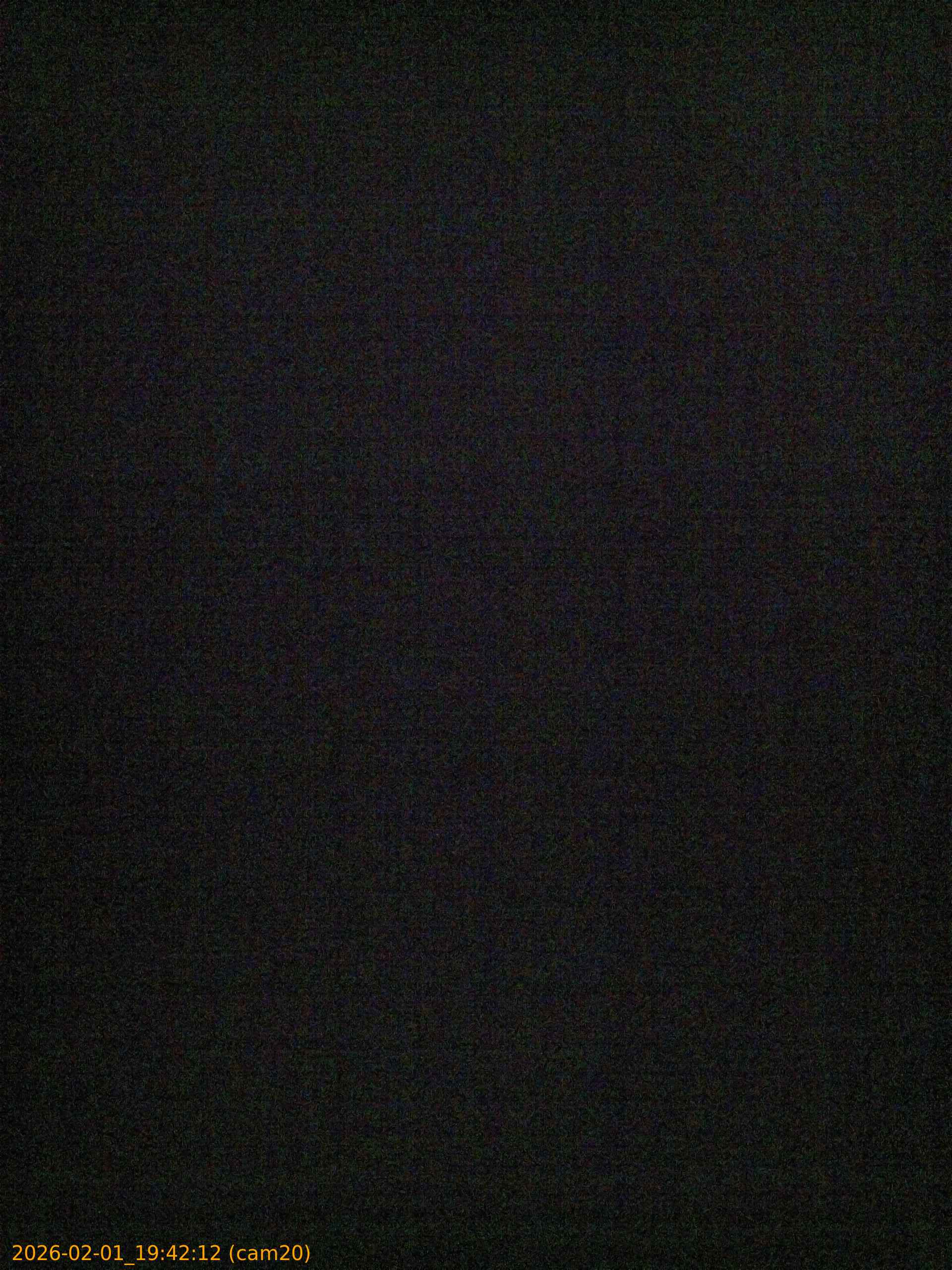 thumbnail_20260201194212