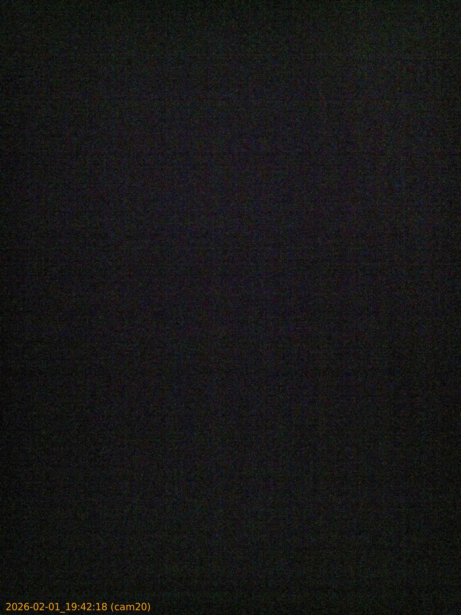 thumbnail_20260201194218