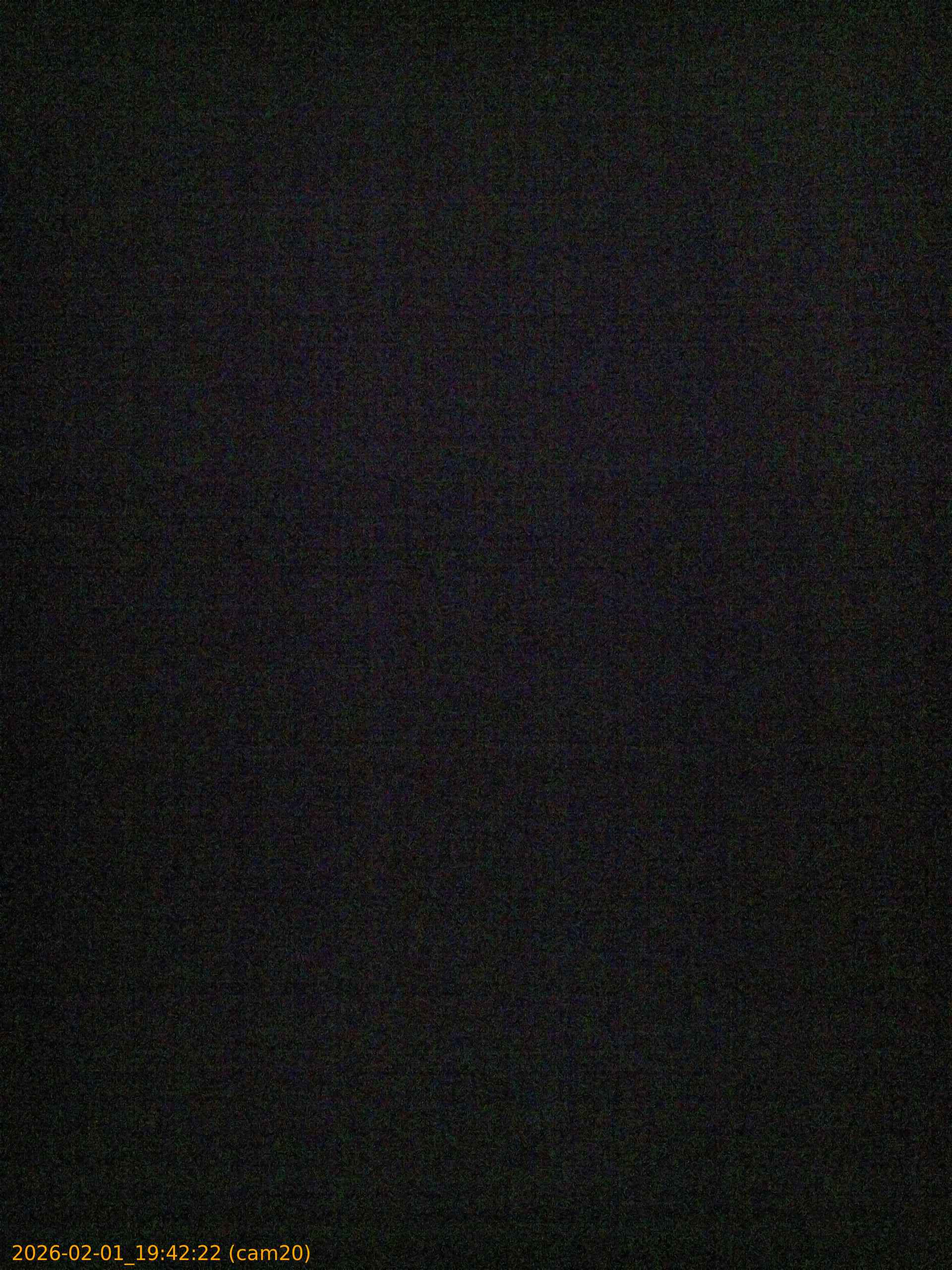 thumbnail_20260201194222