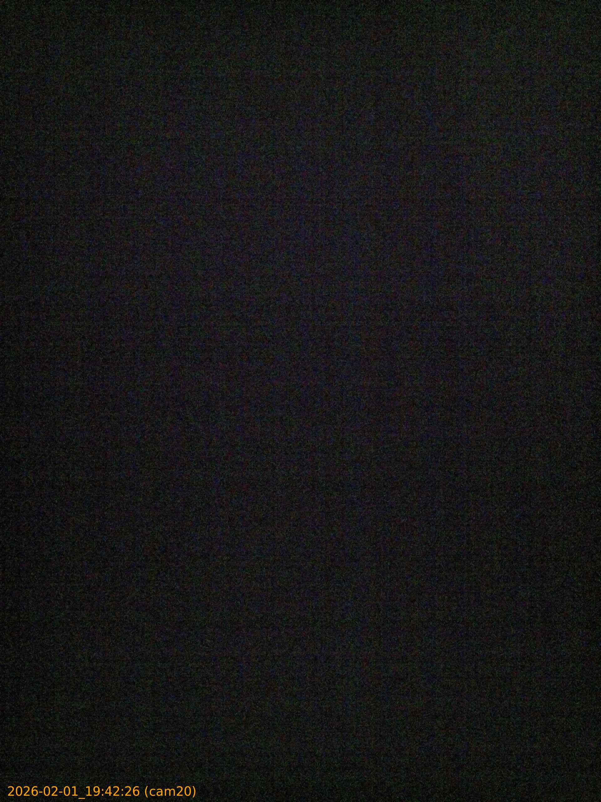 thumbnail_20260201194226