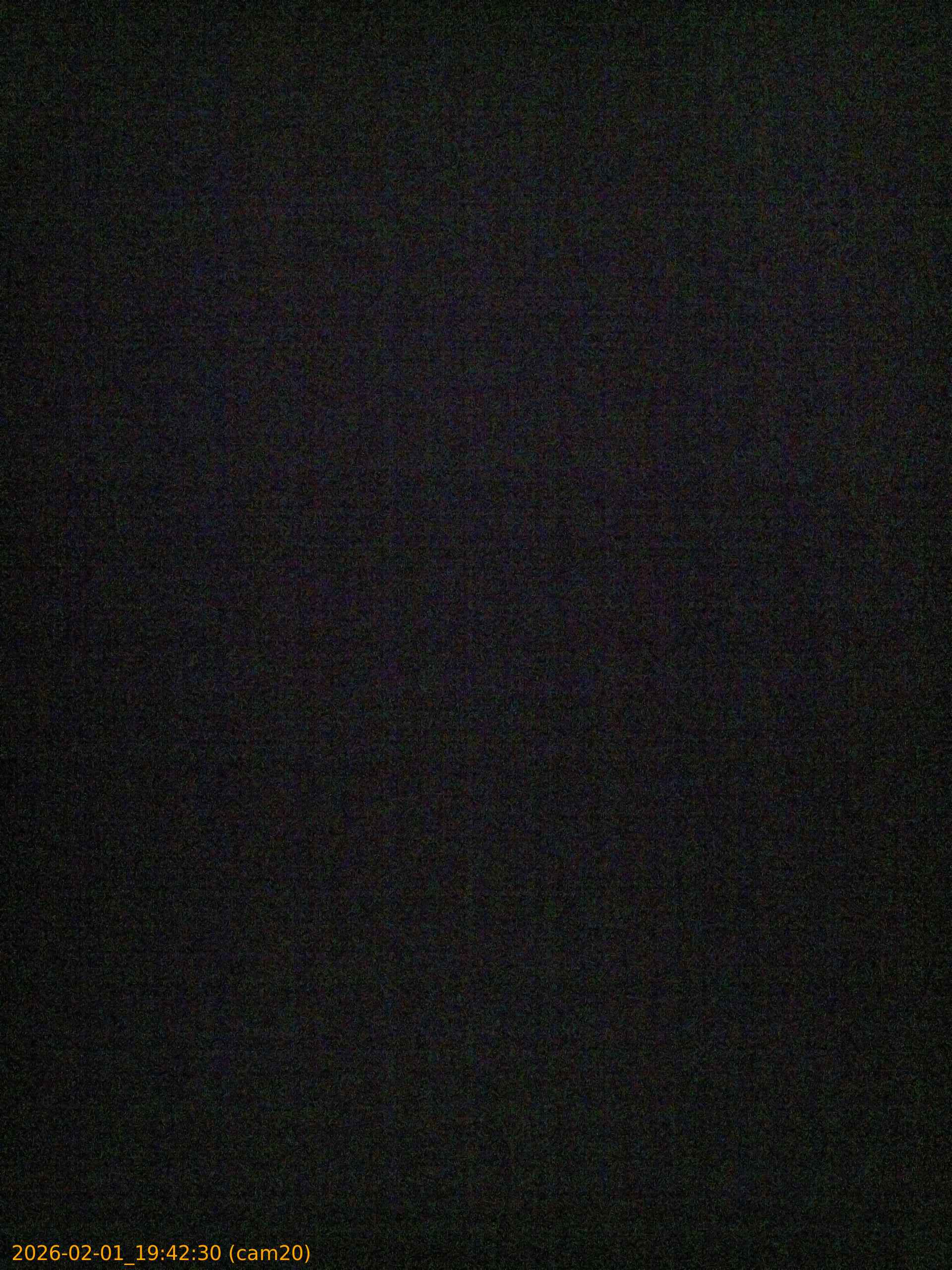 thumbnail_20260201194230