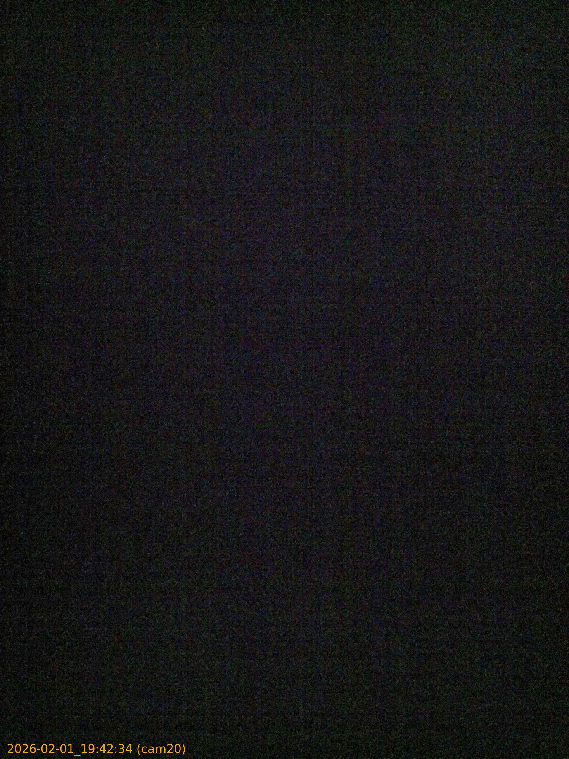 thumbnail_20260201194234