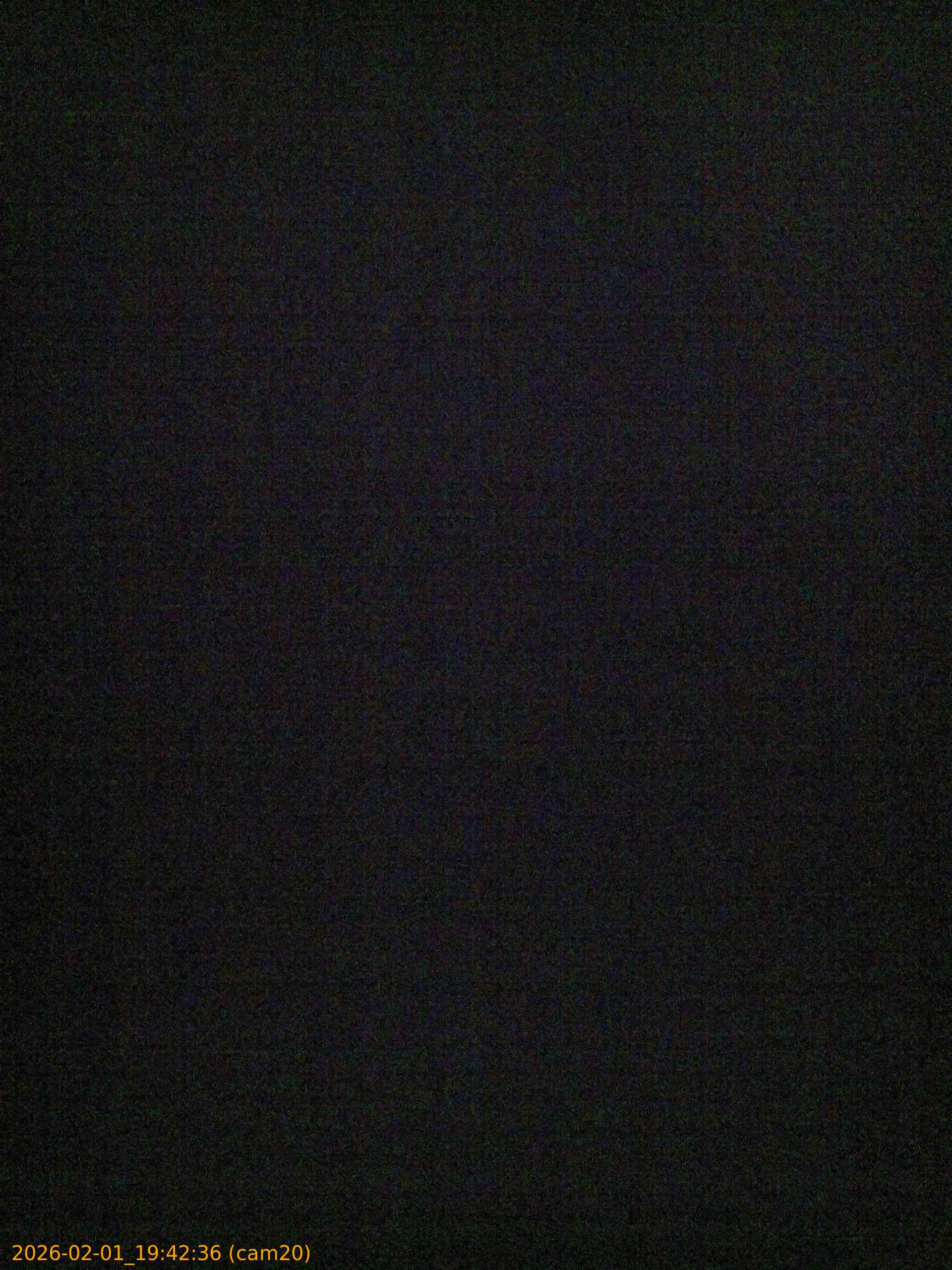 thumbnail_20260201194236