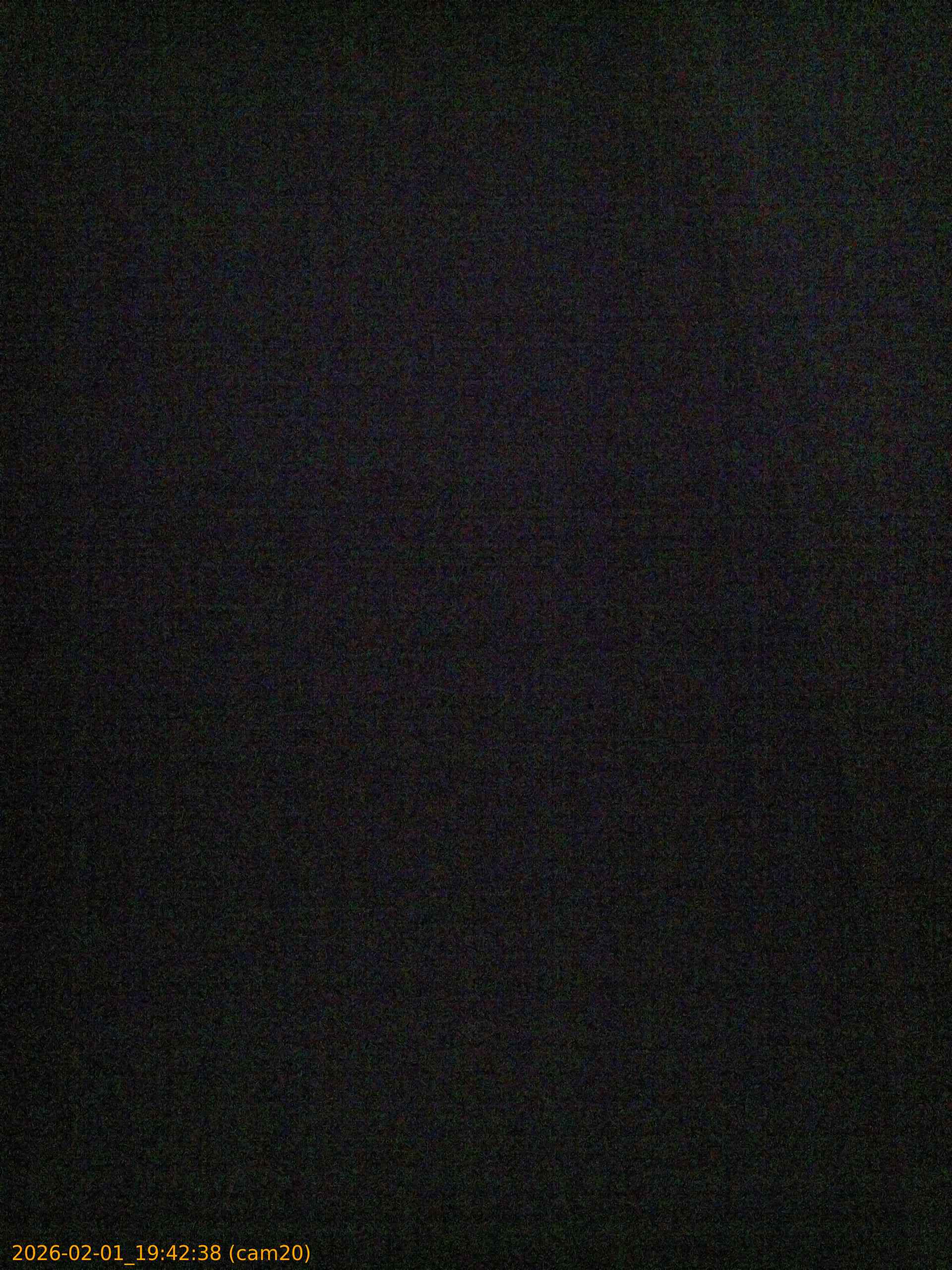 thumbnail_20260201194238