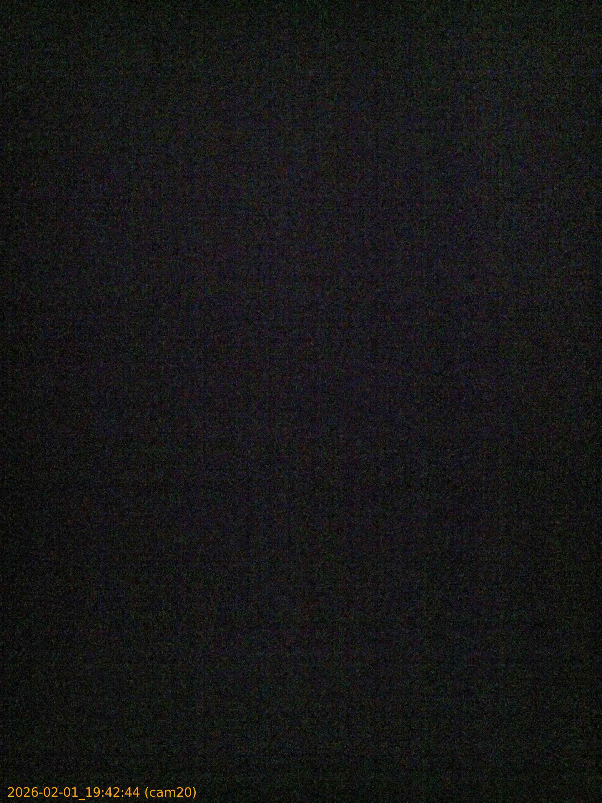 thumbnail_20260201194244