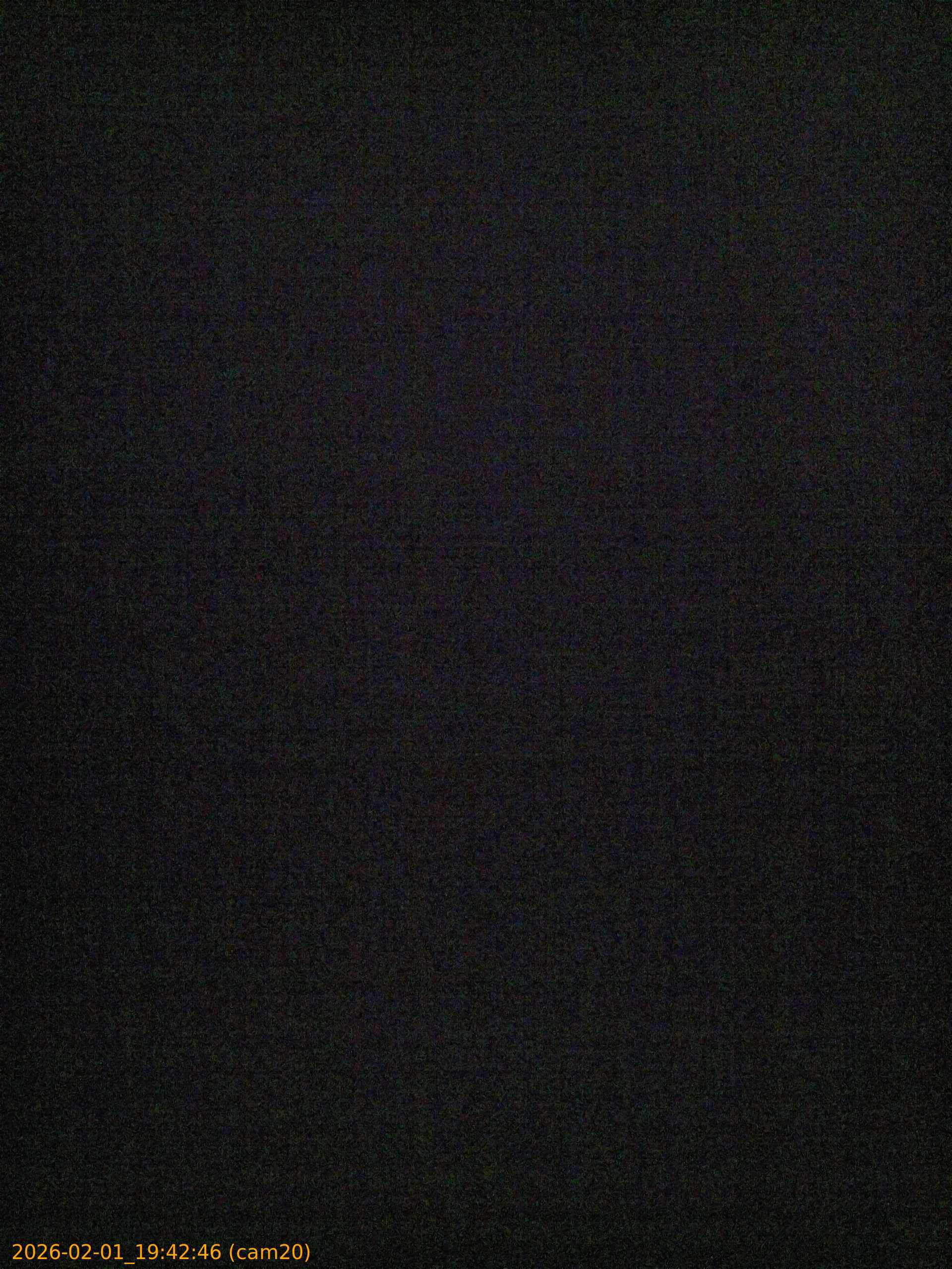 thumbnail_20260201194246