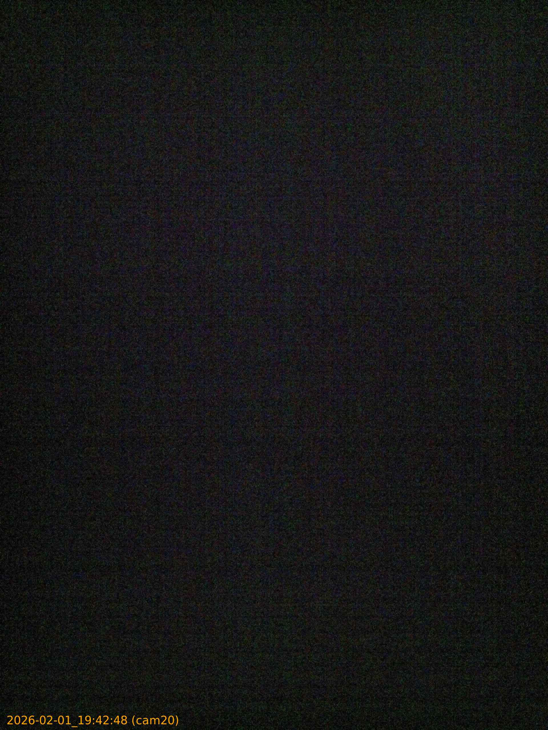 thumbnail_20260201194248