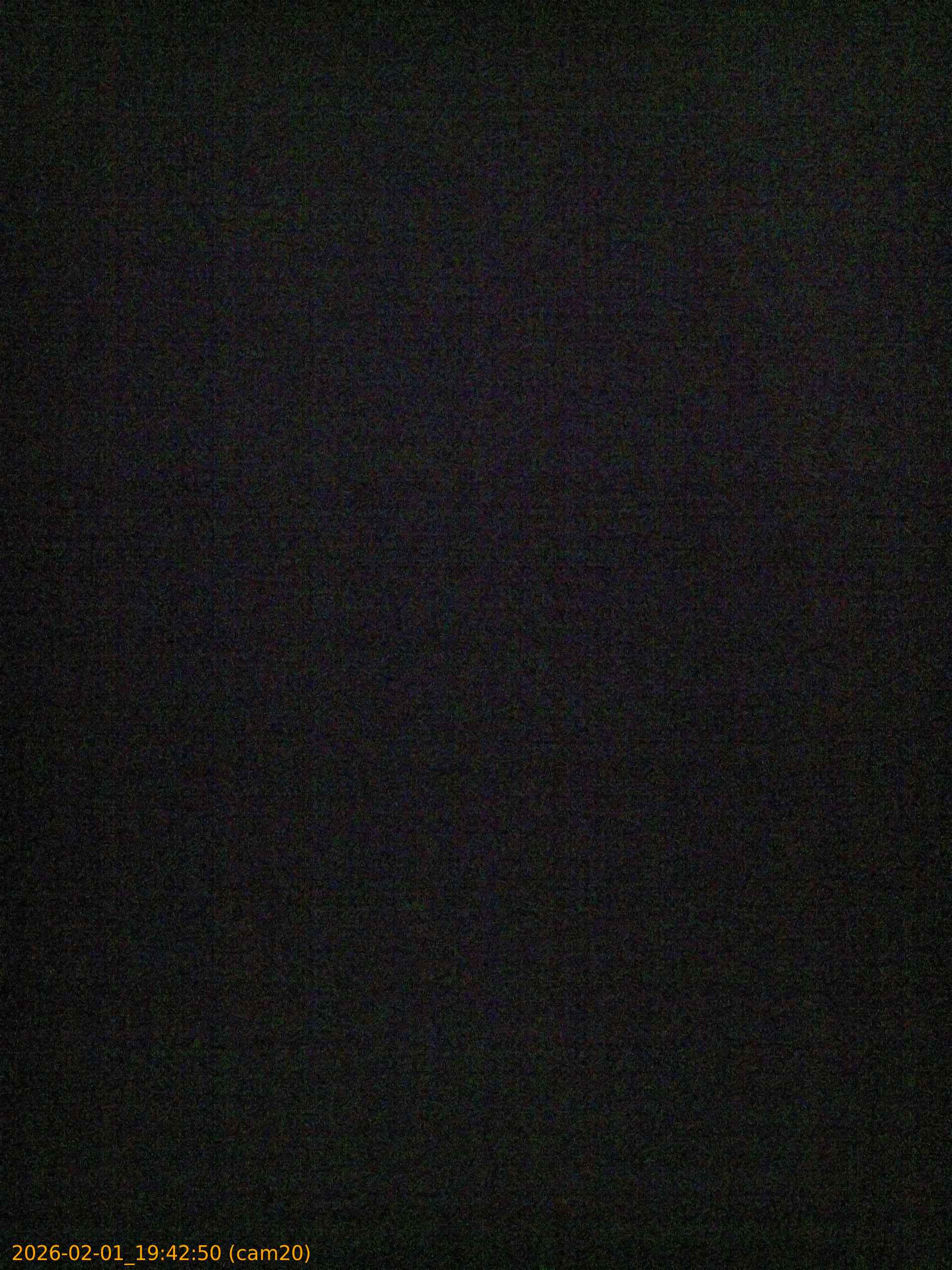 thumbnail_20260201194250