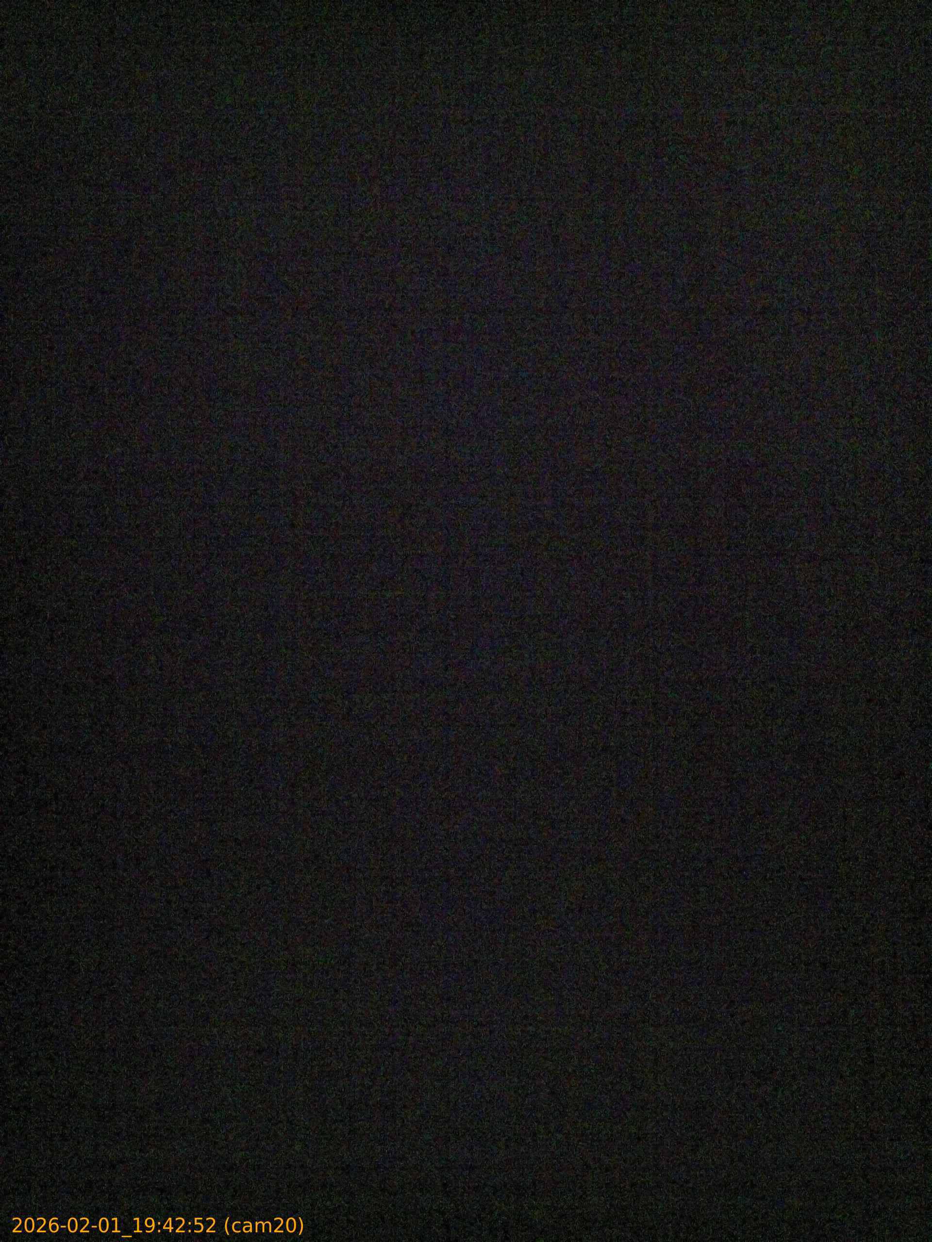 thumbnail_20260201194252