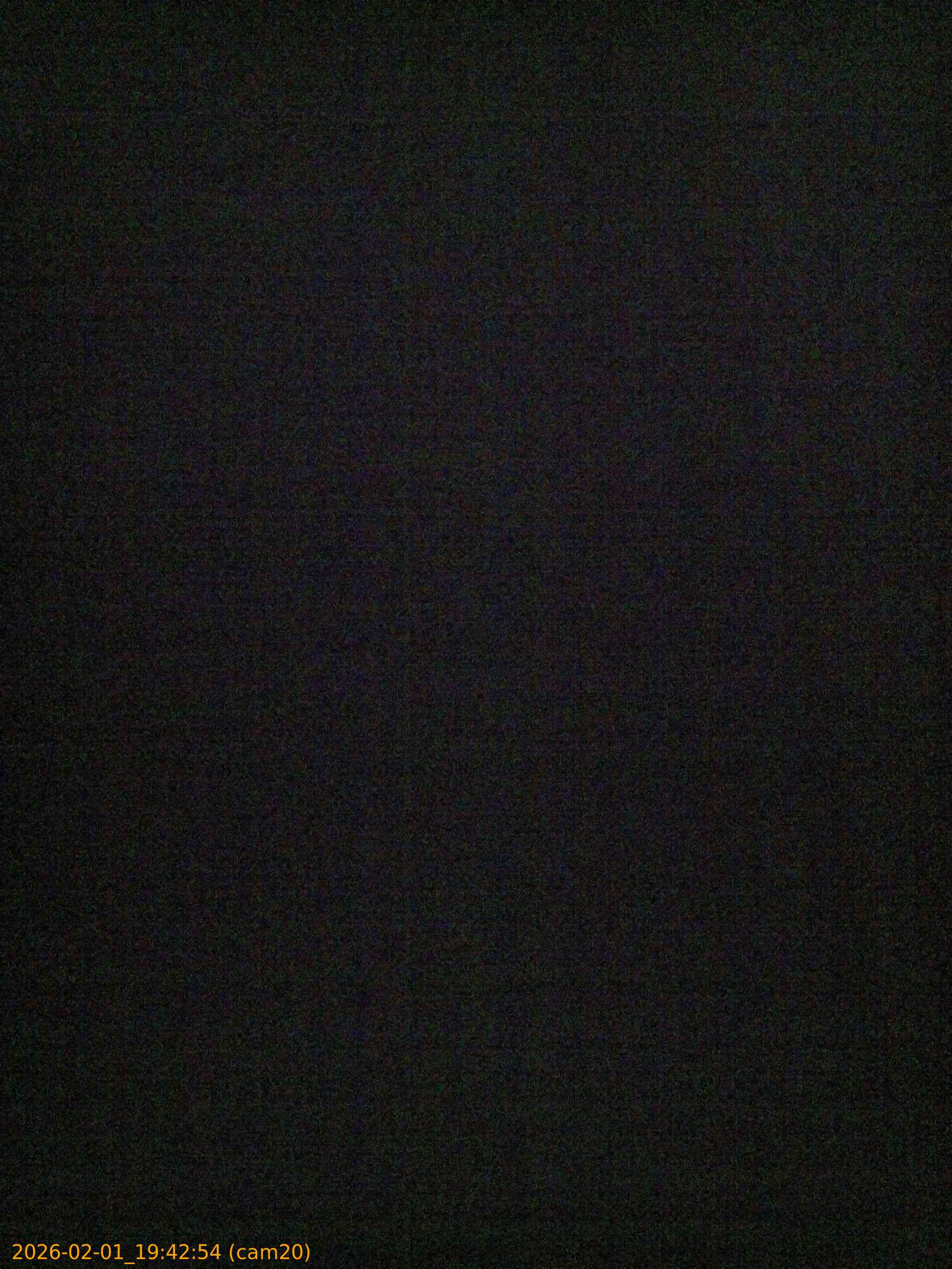 thumbnail_20260201194254