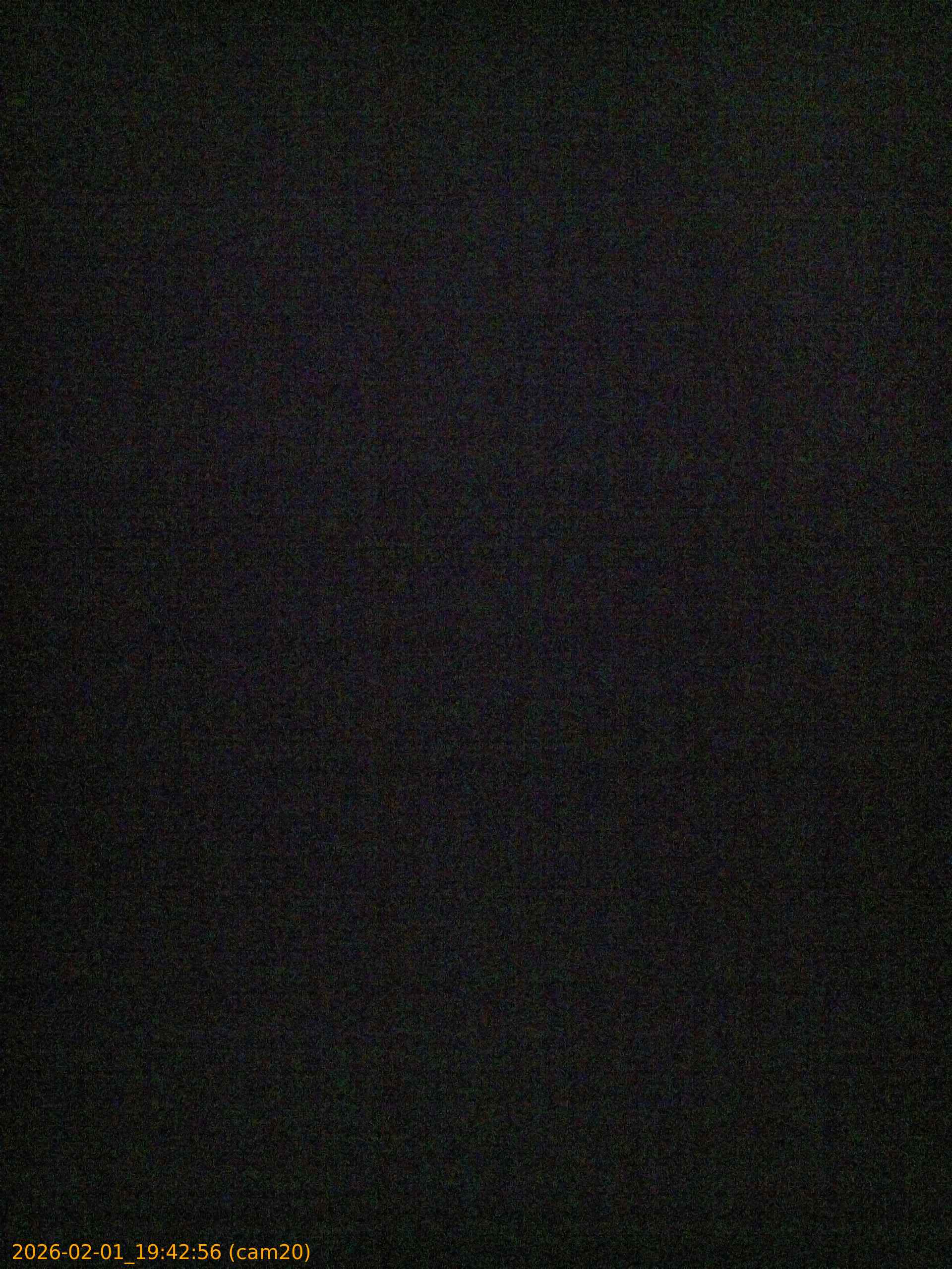 thumbnail_20260201194256