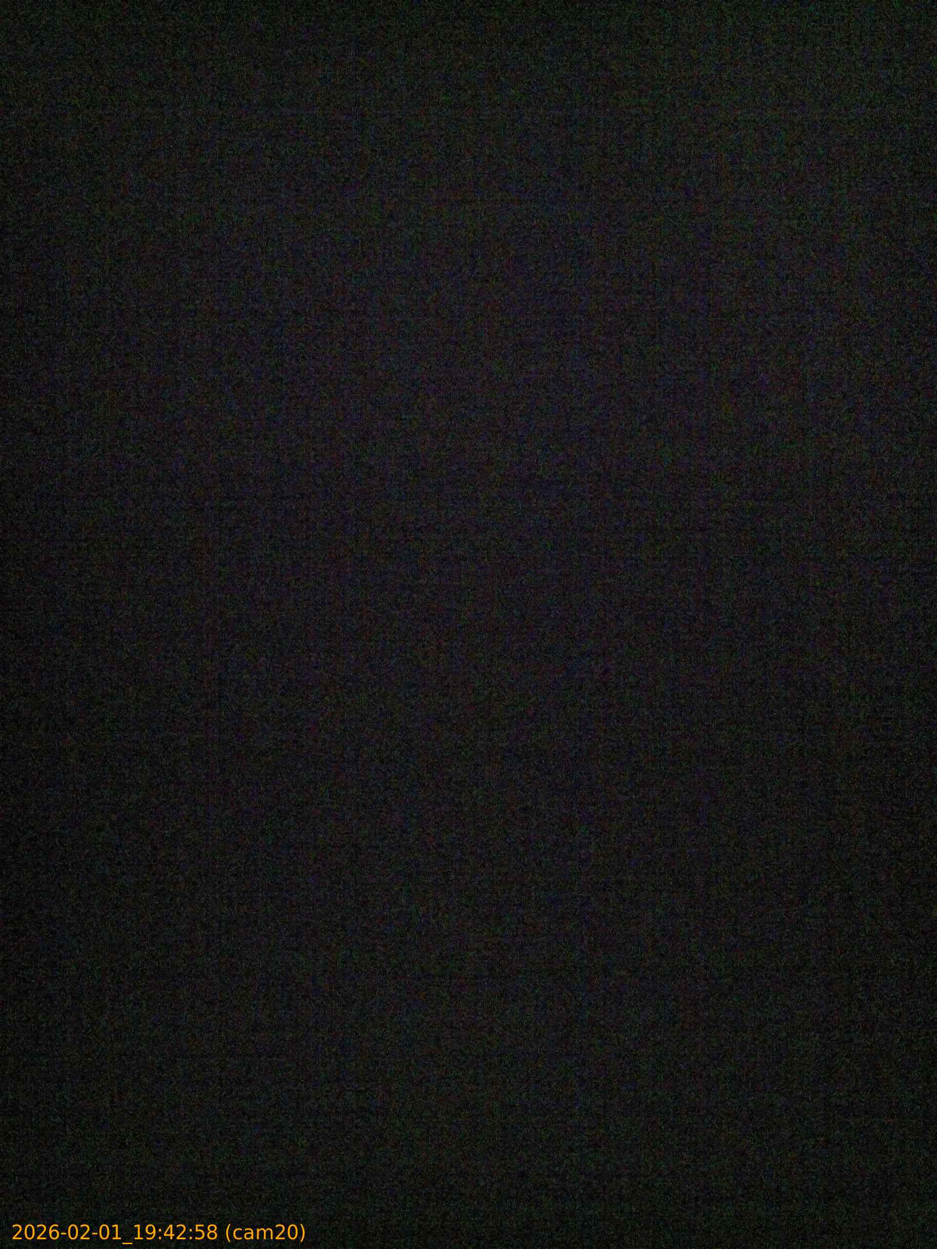 thumbnail_20260201194258