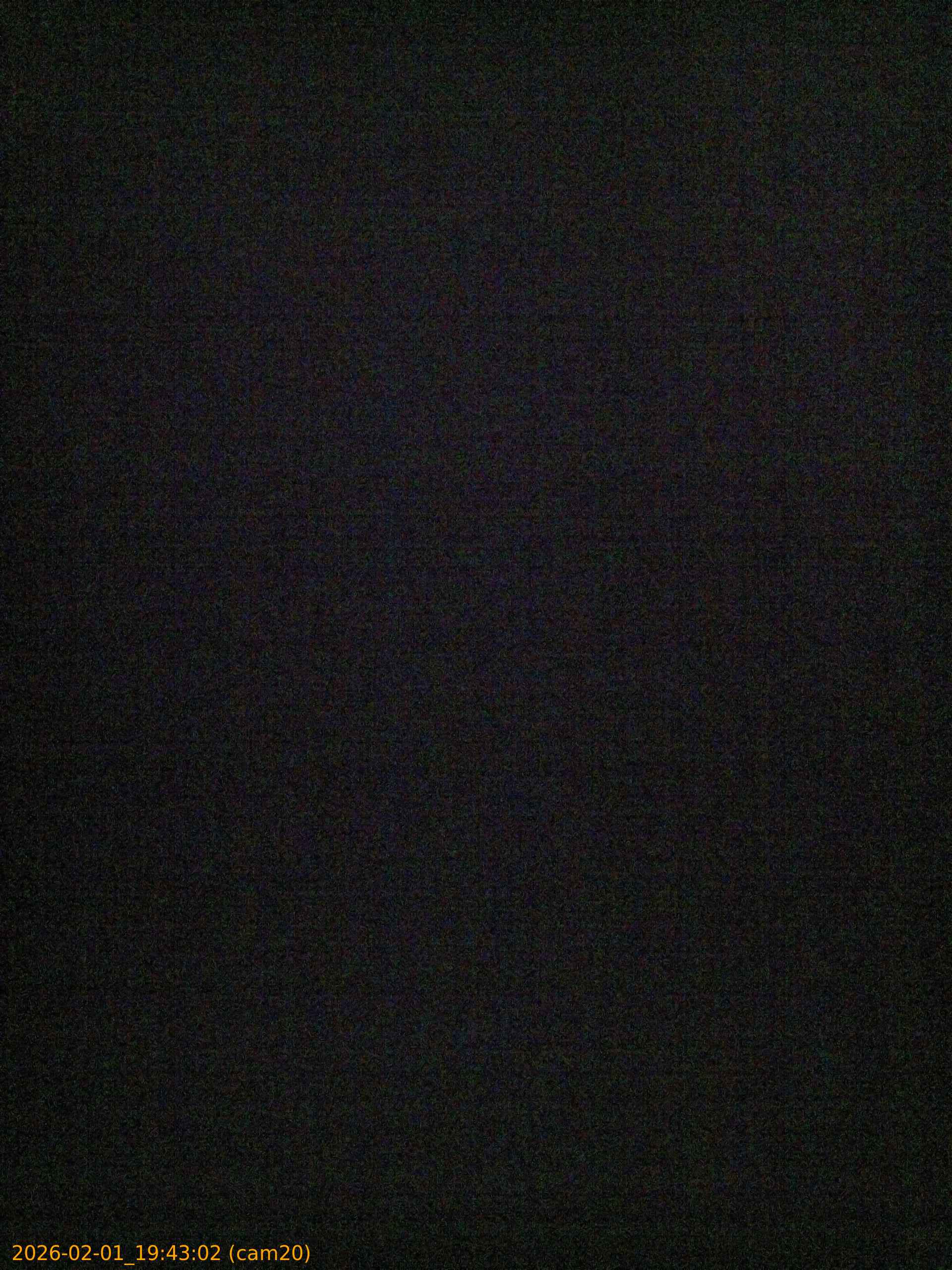 thumbnail_20260201194302