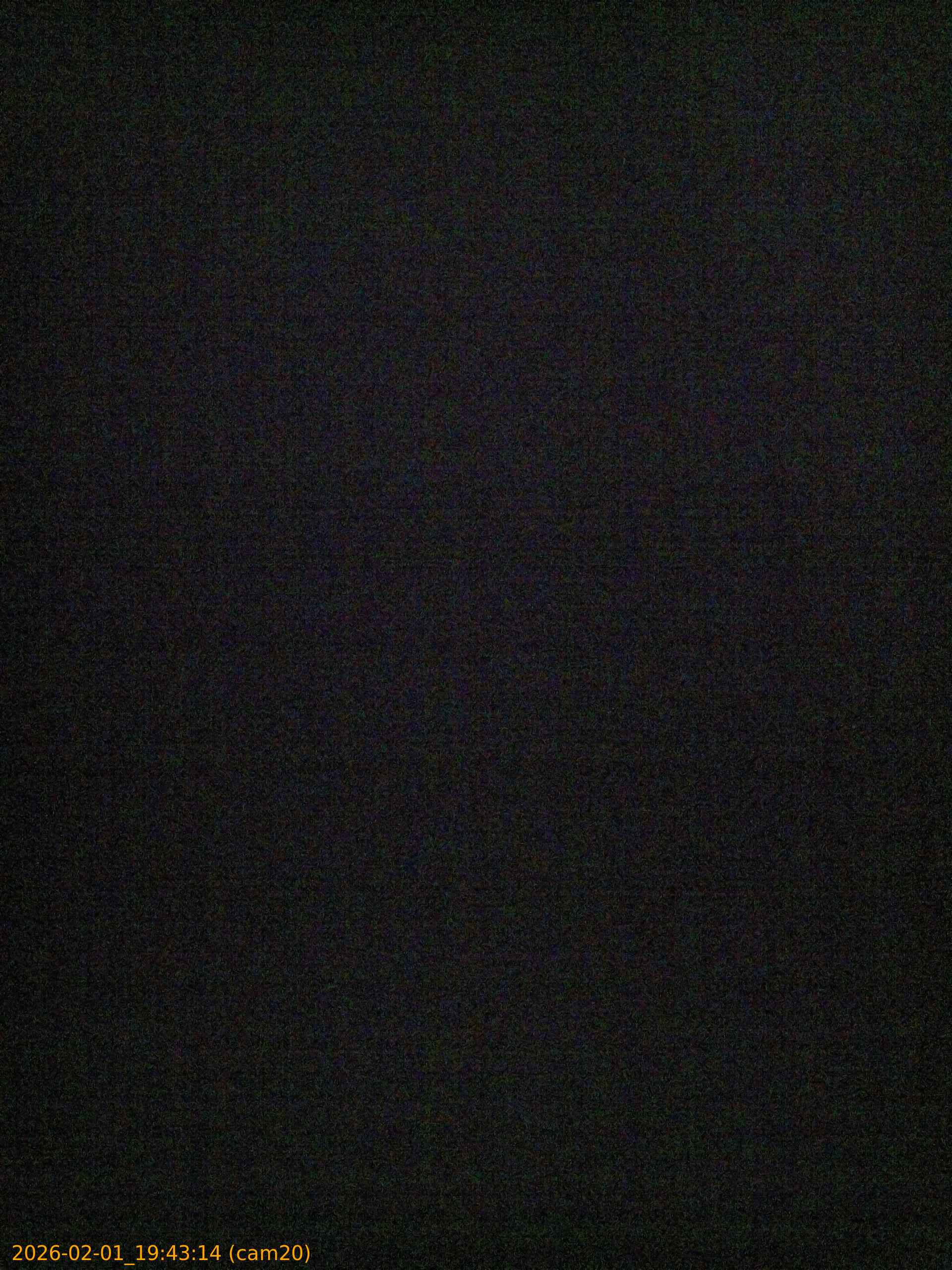 thumbnail_20260201194314