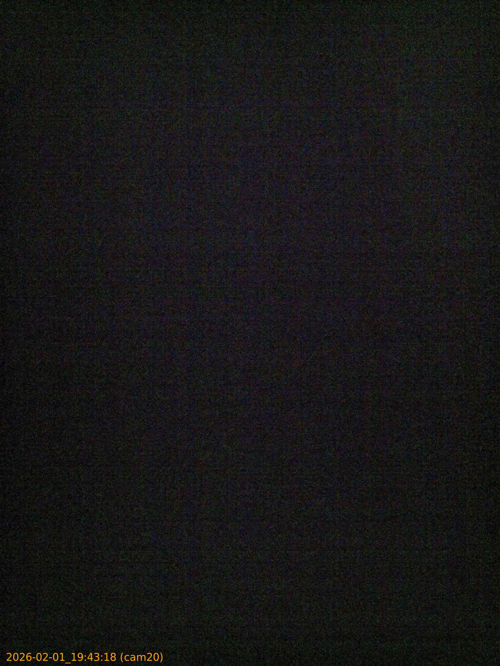 thumbnail_20260201194318