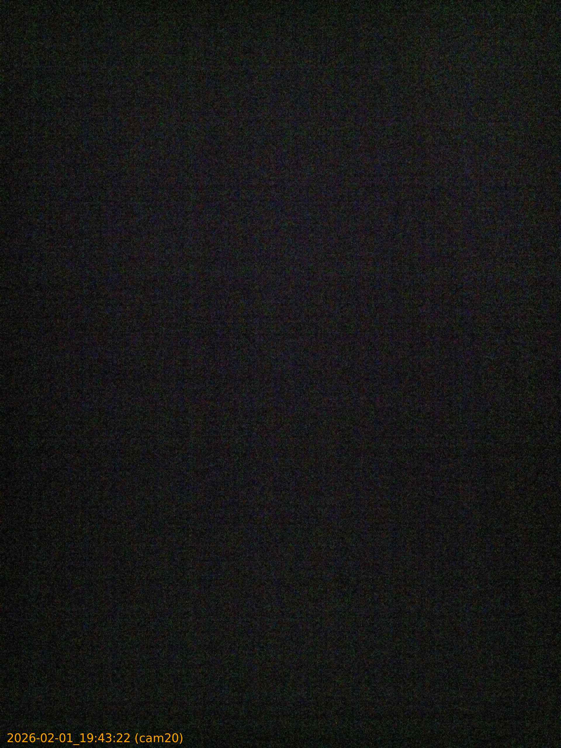 thumbnail_20260201194322