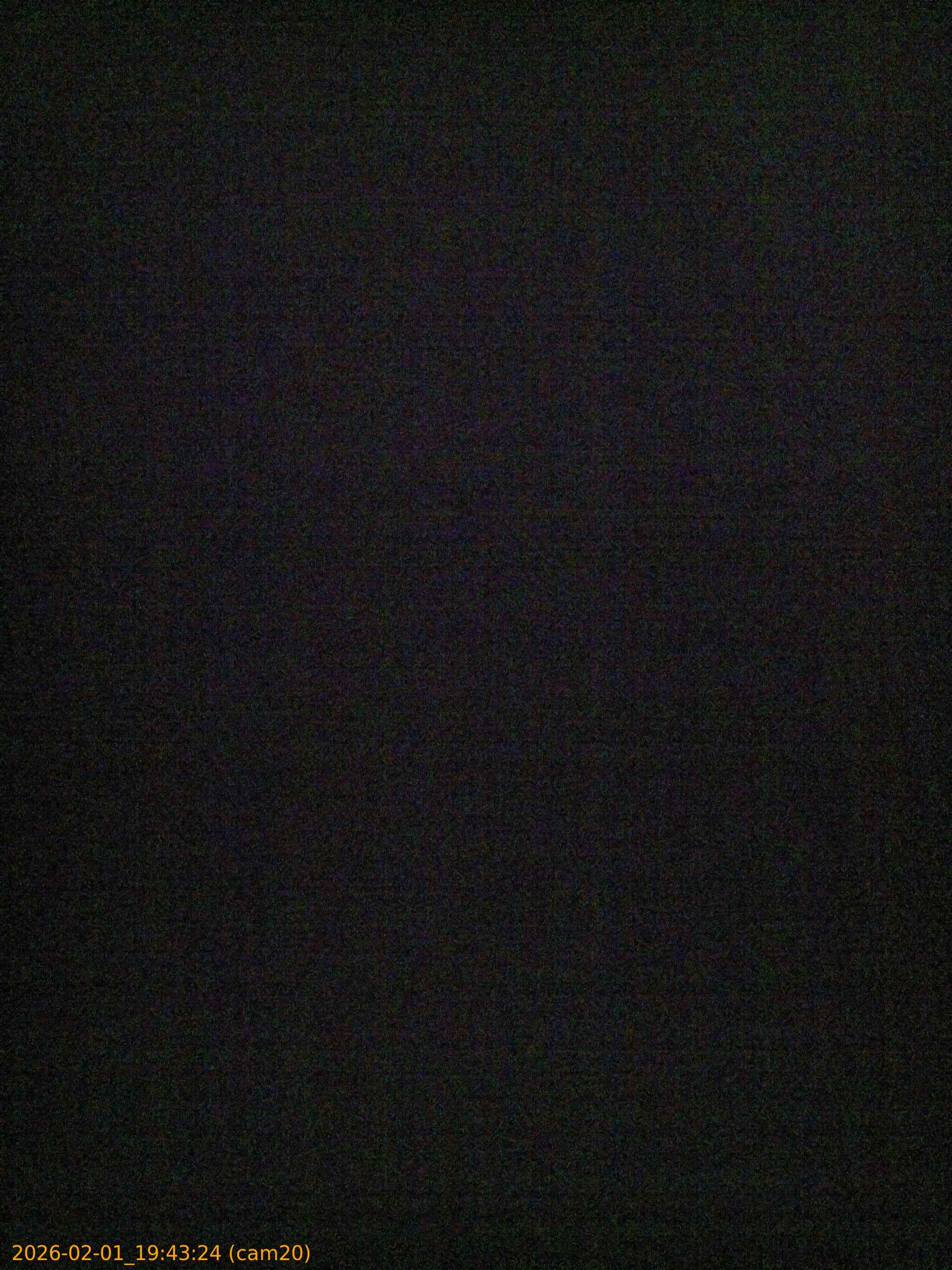 thumbnail_20260201194324