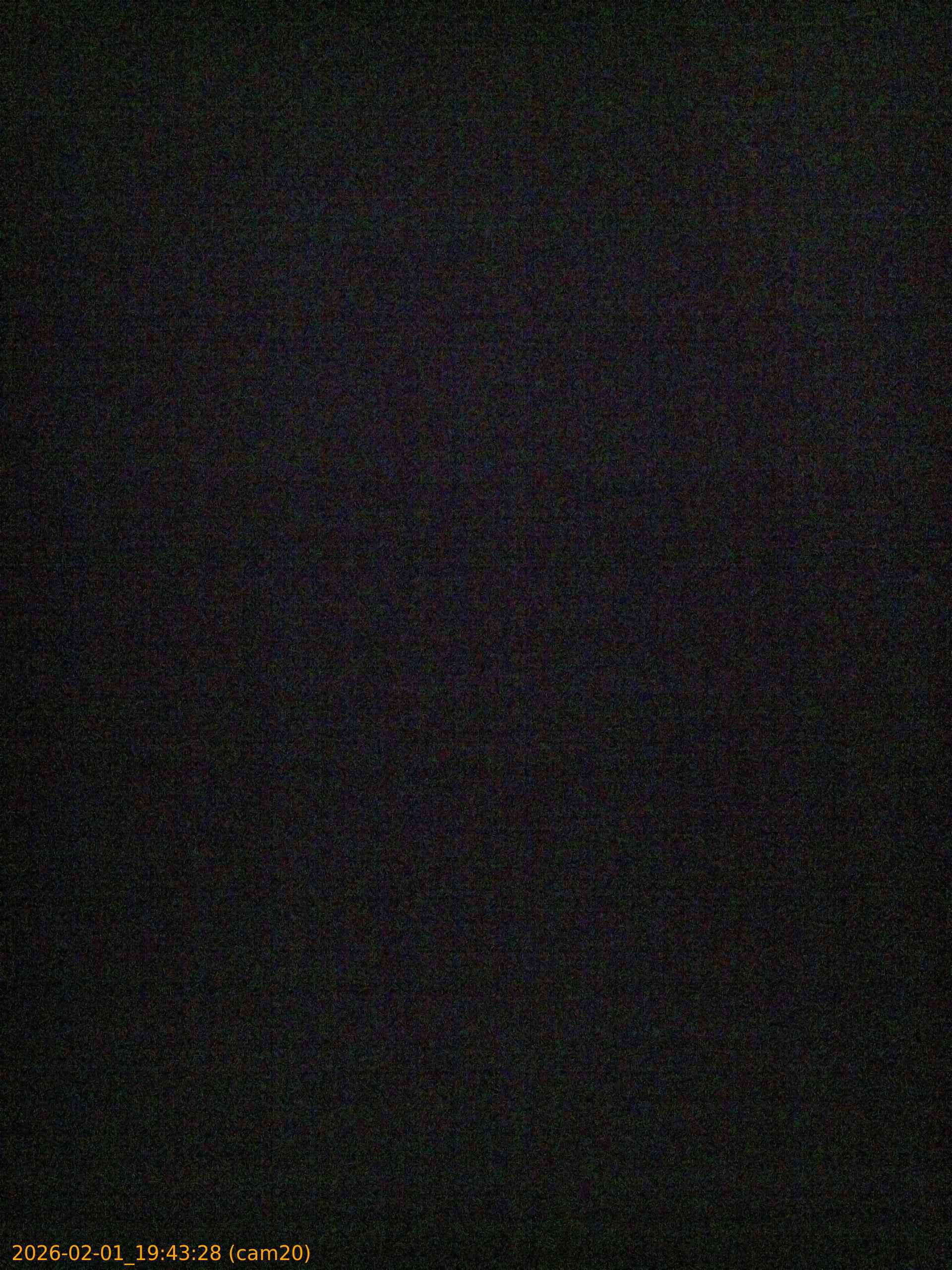 thumbnail_20260201194328