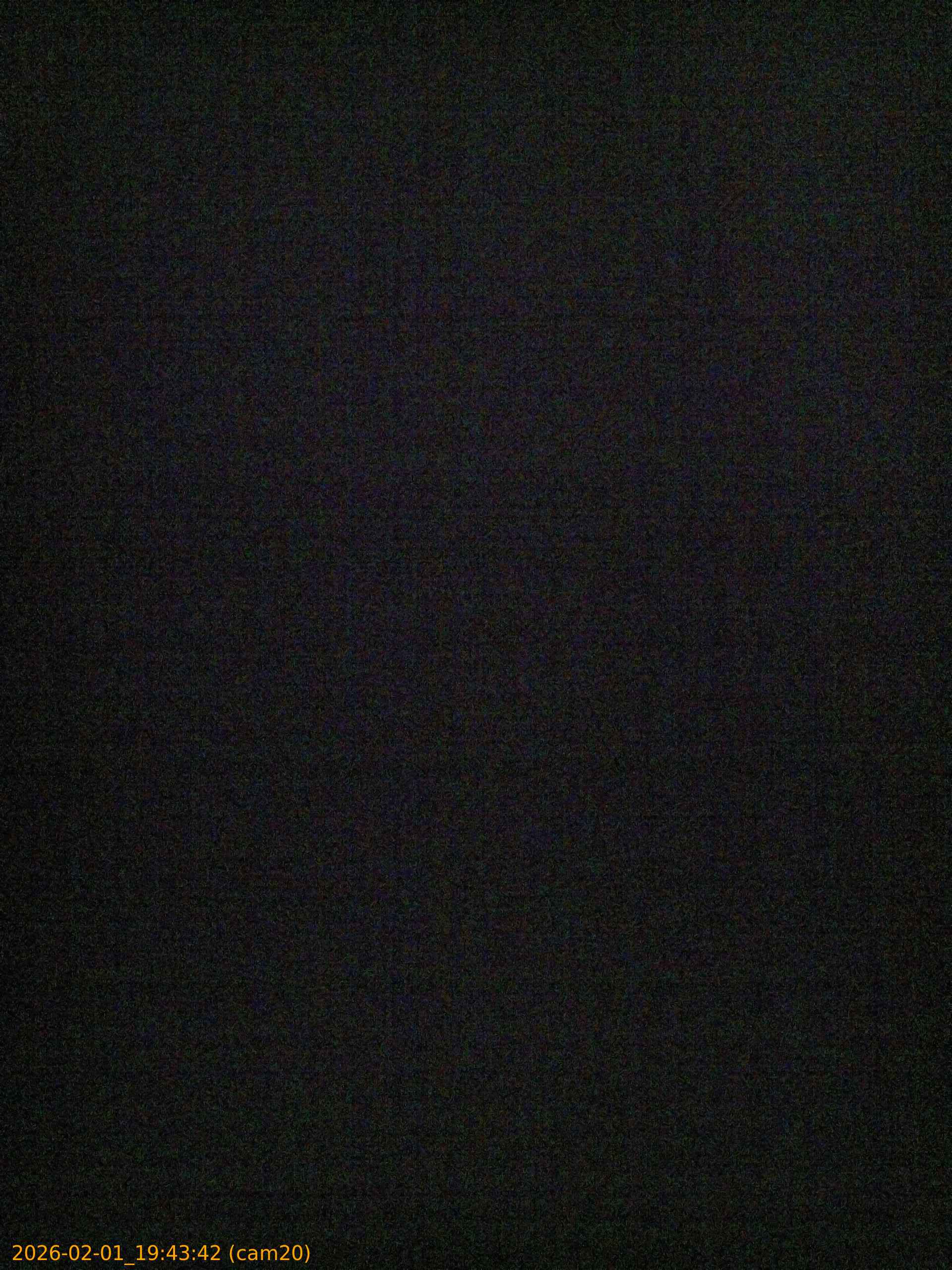 thumbnail_20260201194342