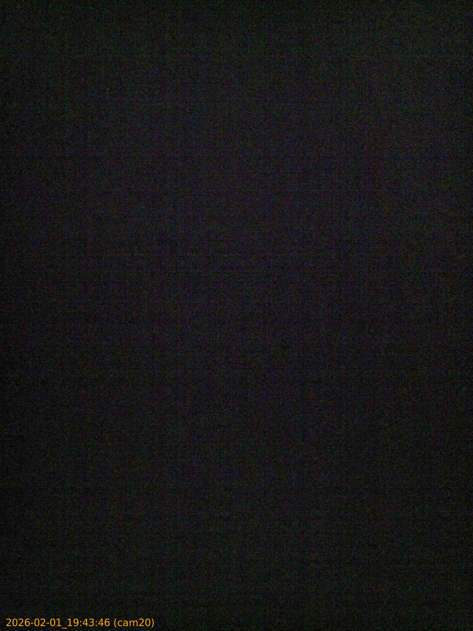 thumbnail_20260201194346