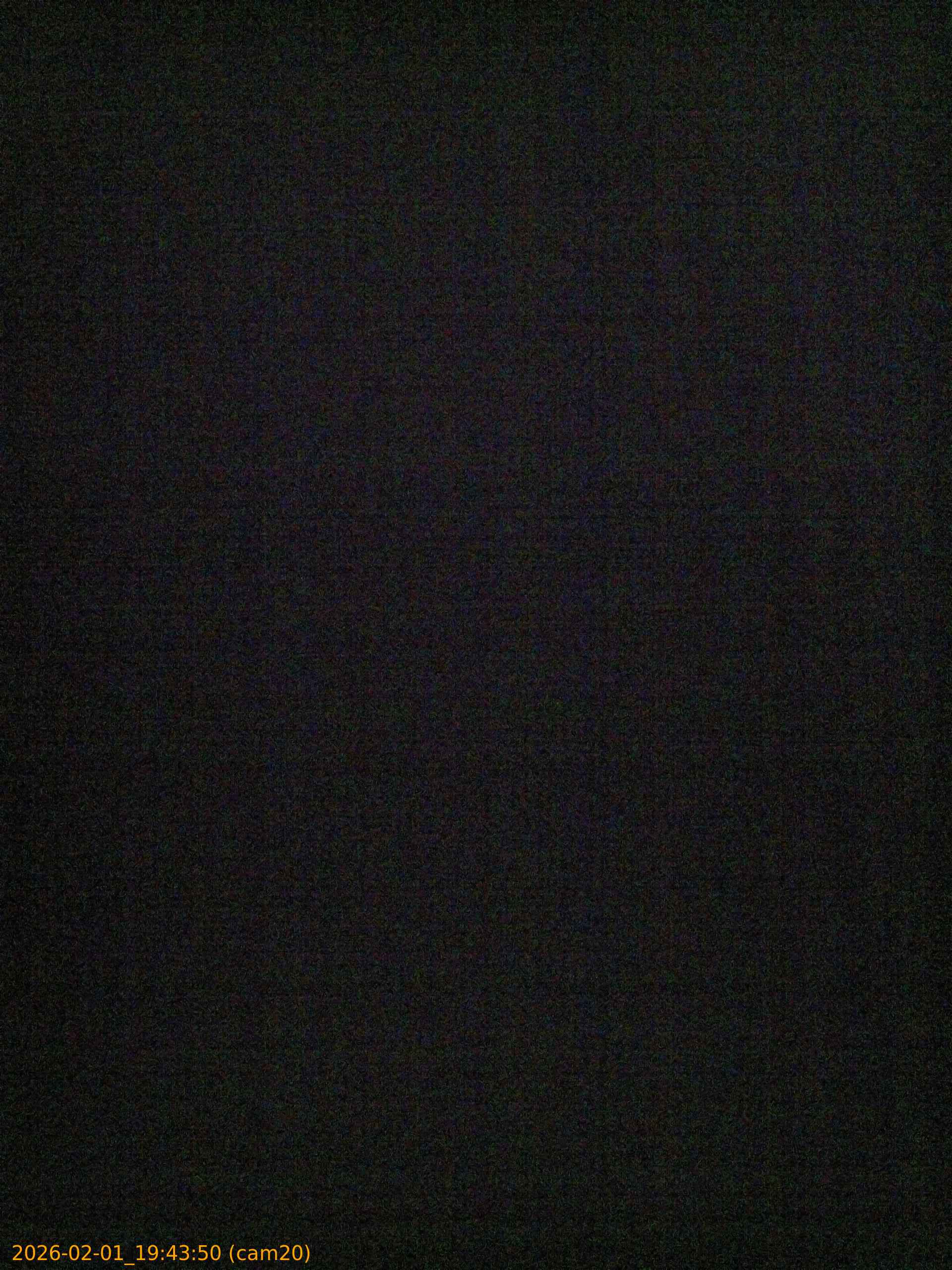 thumbnail_20260201194350