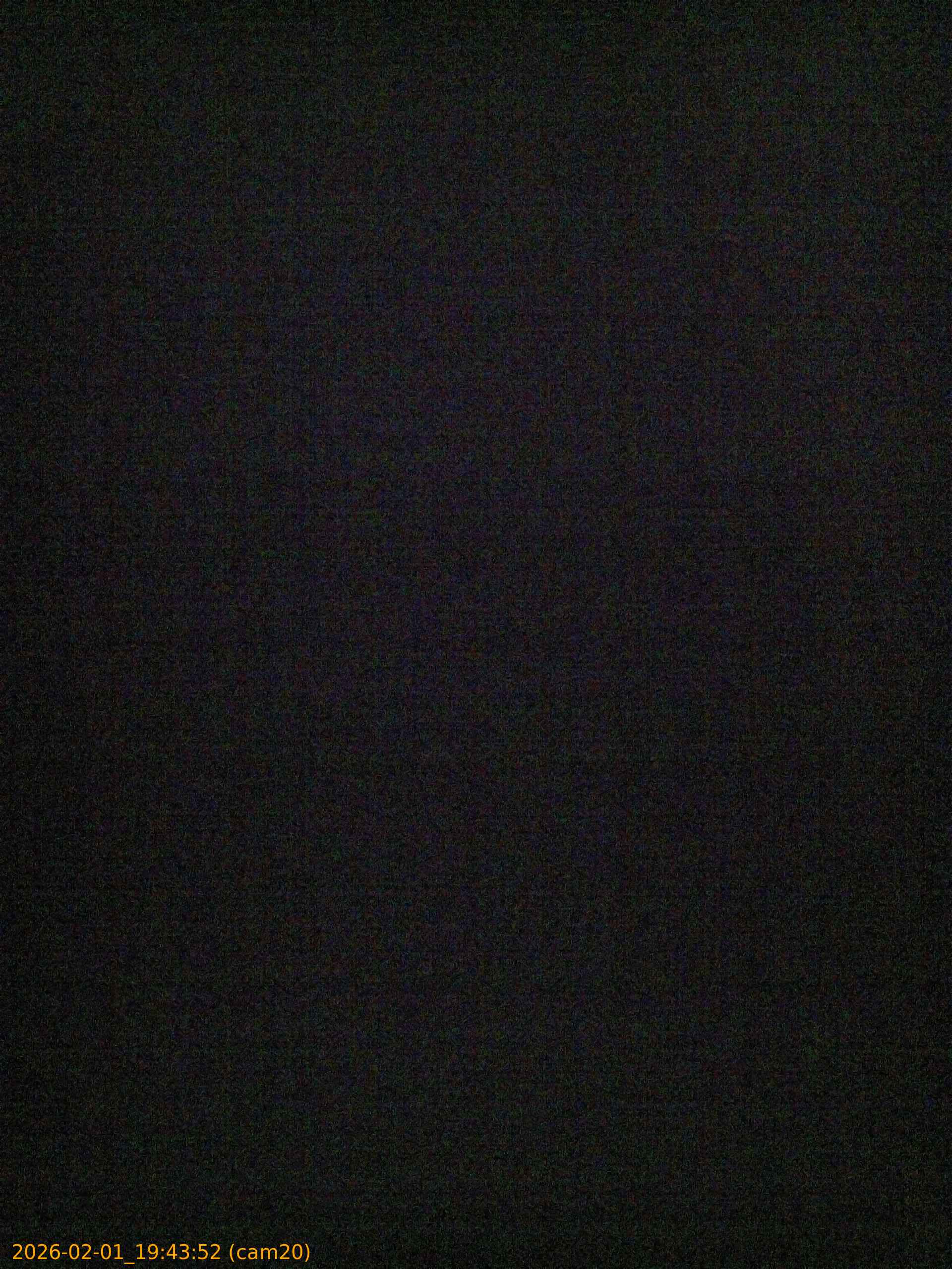 thumbnail_20260201194352