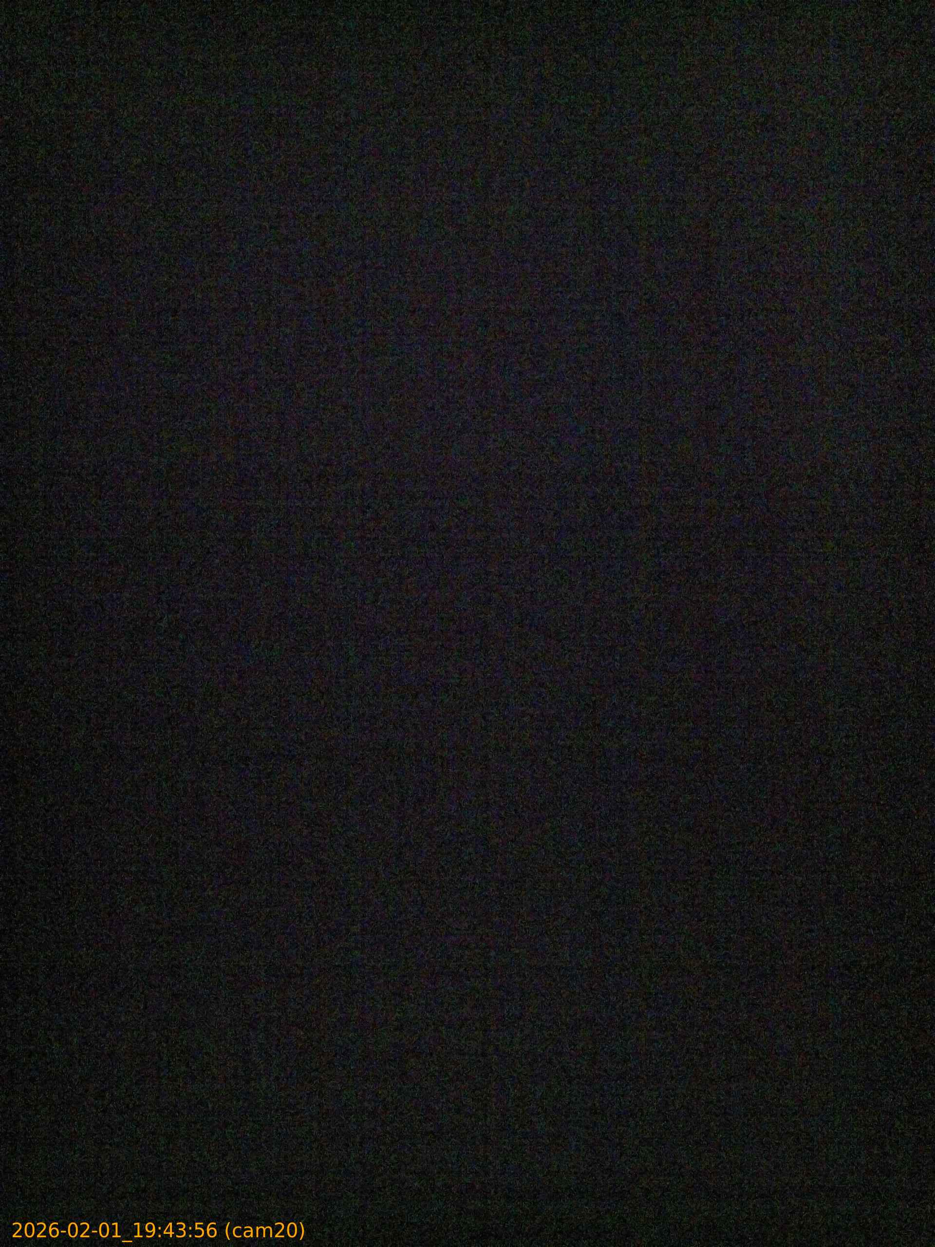 thumbnail_20260201194356