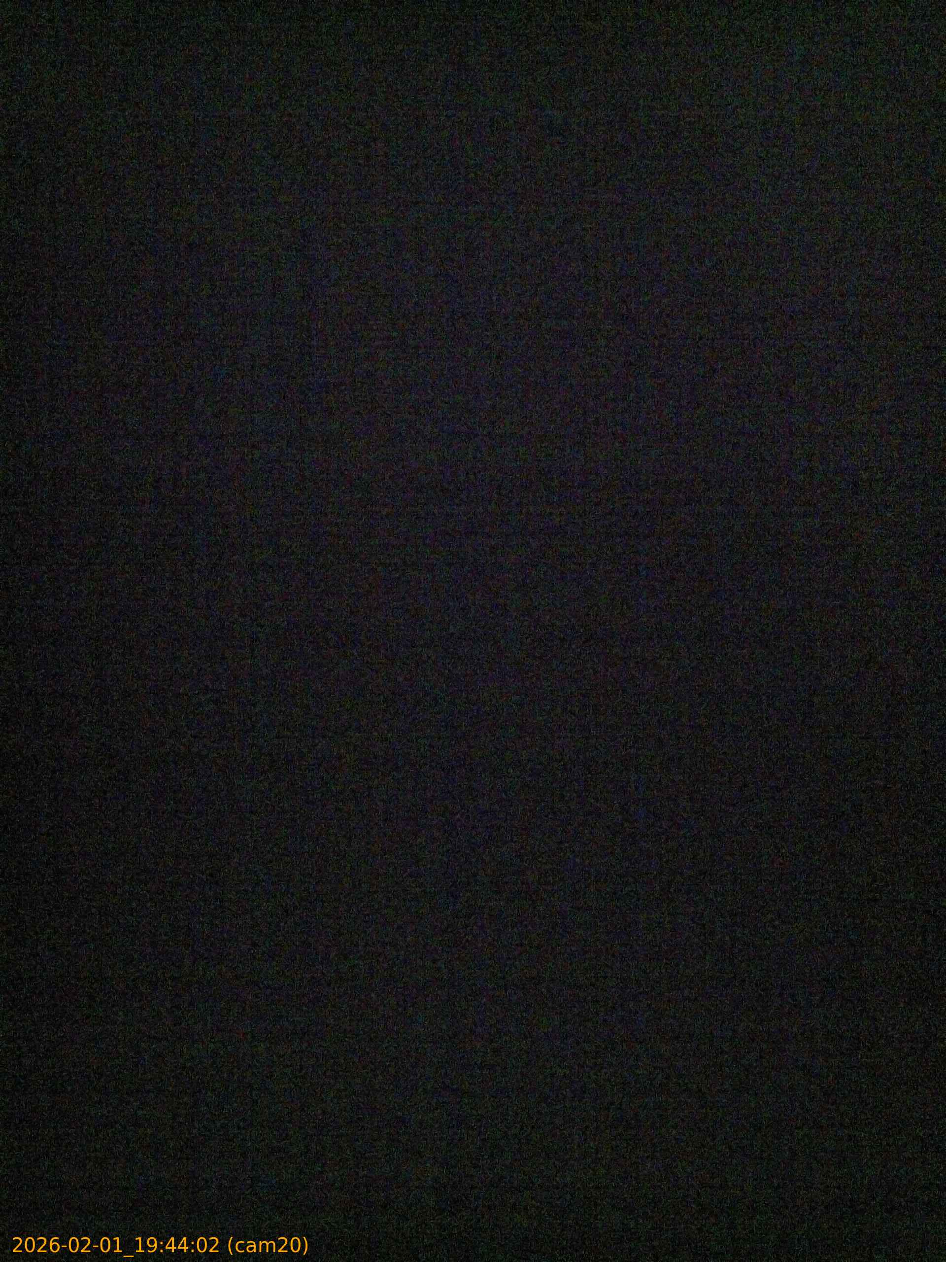 thumbnail_20260201194402